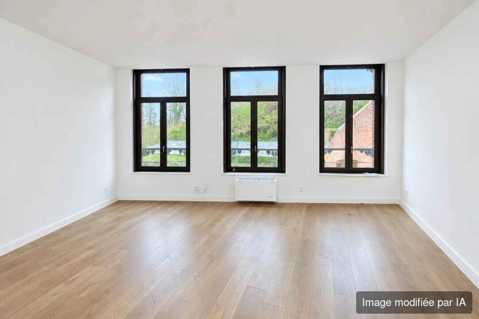 Image_, Appartement, Maubeuge, ref :AT600-9518