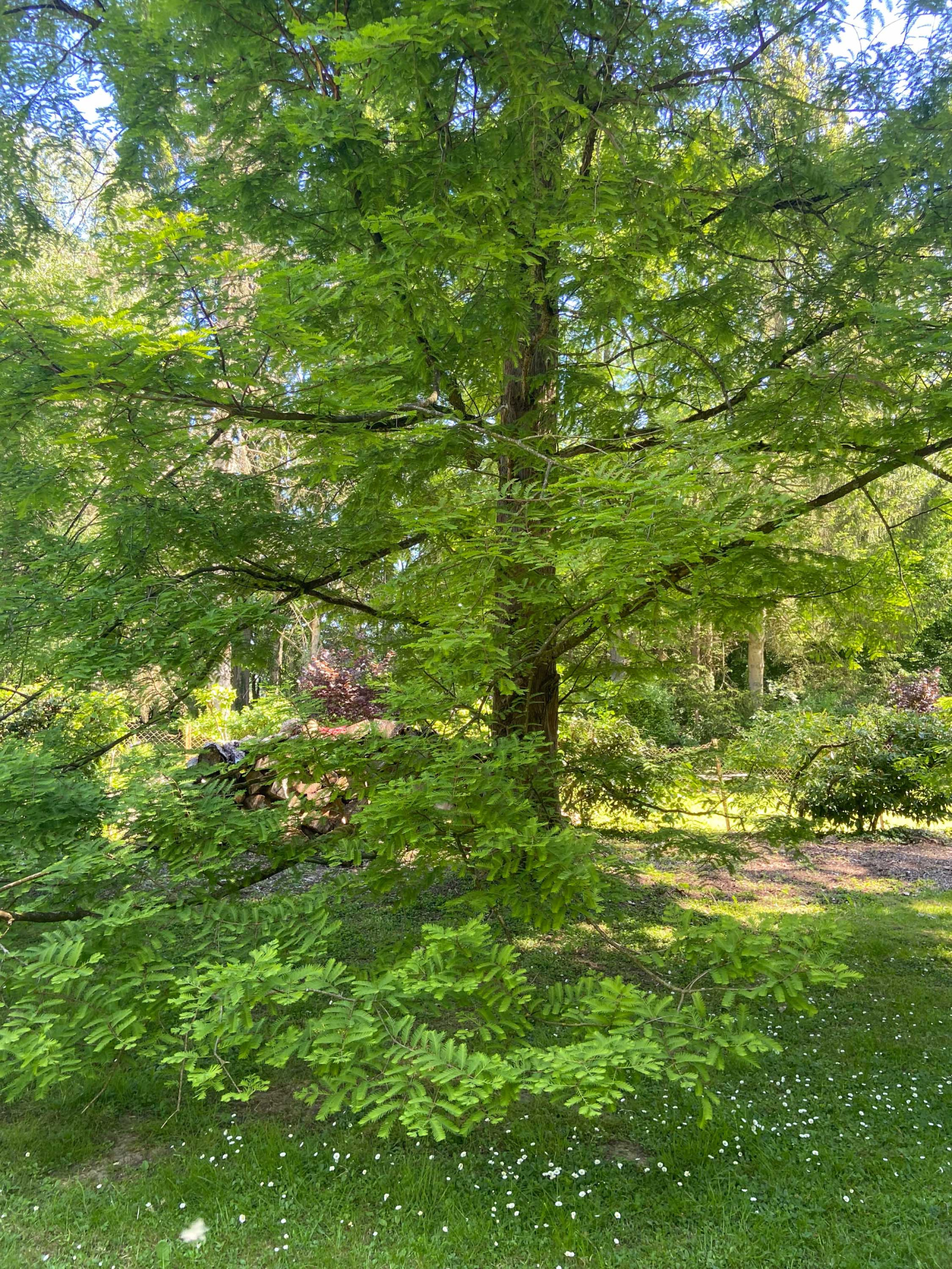 Image_, Maison, Mairieux, ref :AT460-9142