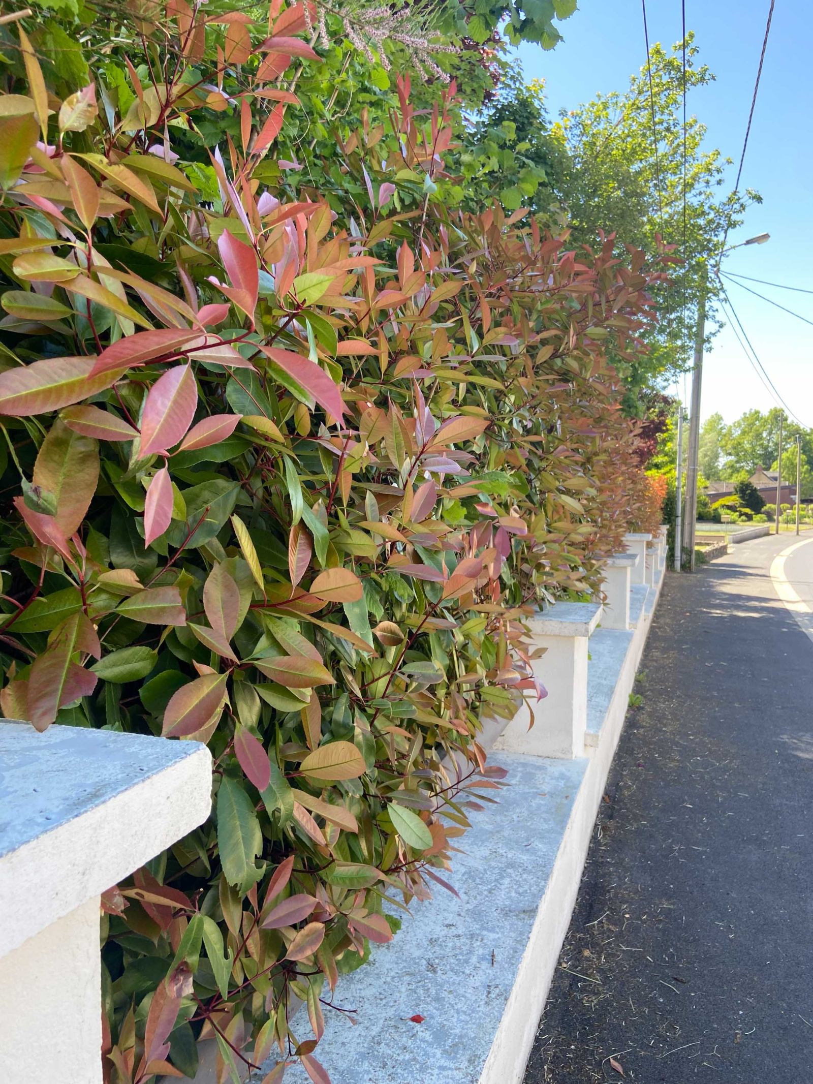 Image_, Maison, Mairieux, ref :AT460-9142