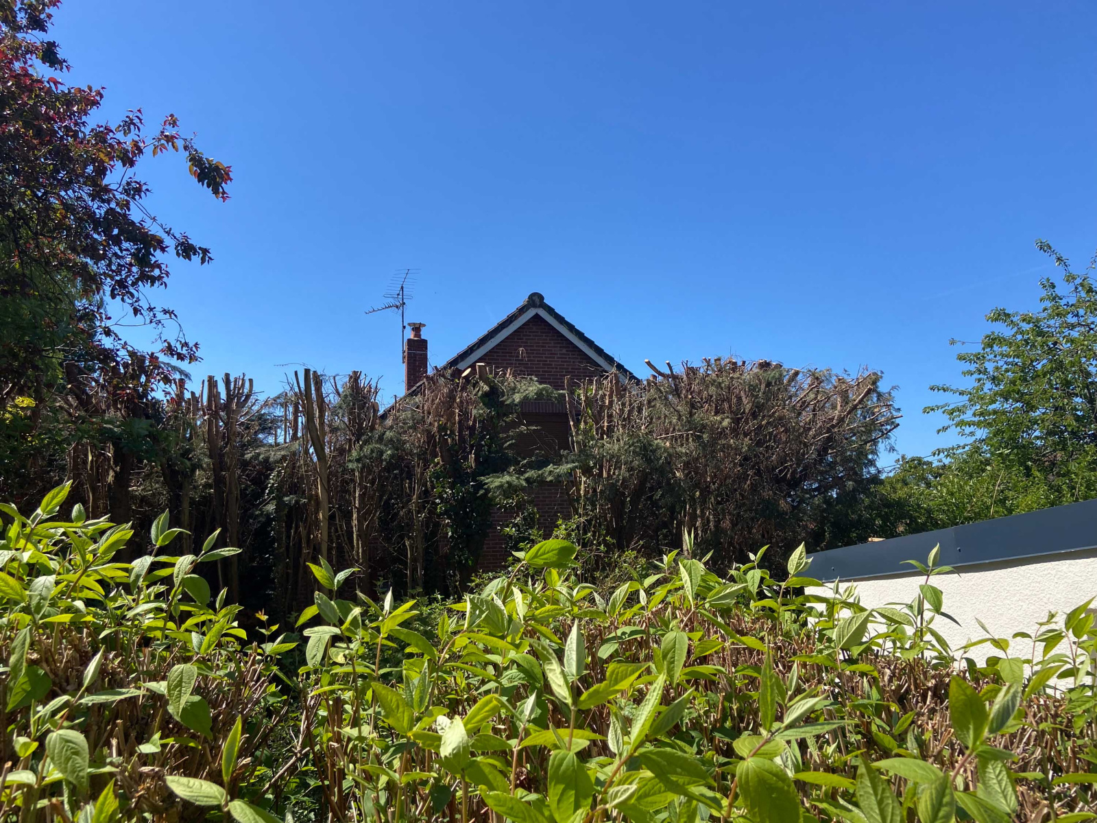 Image_, Maison, Mairieux, ref :AT460-9142