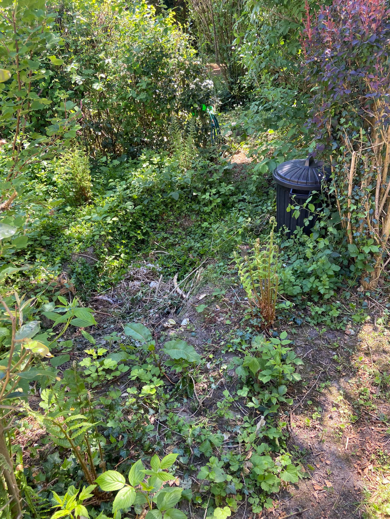 Image_, Maison, Mairieux, ref :AT460-9142