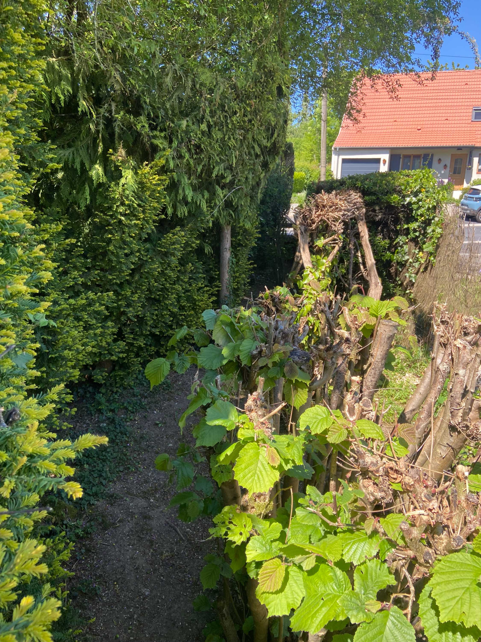 Image_, Maison, Mairieux, ref :AT460-9142