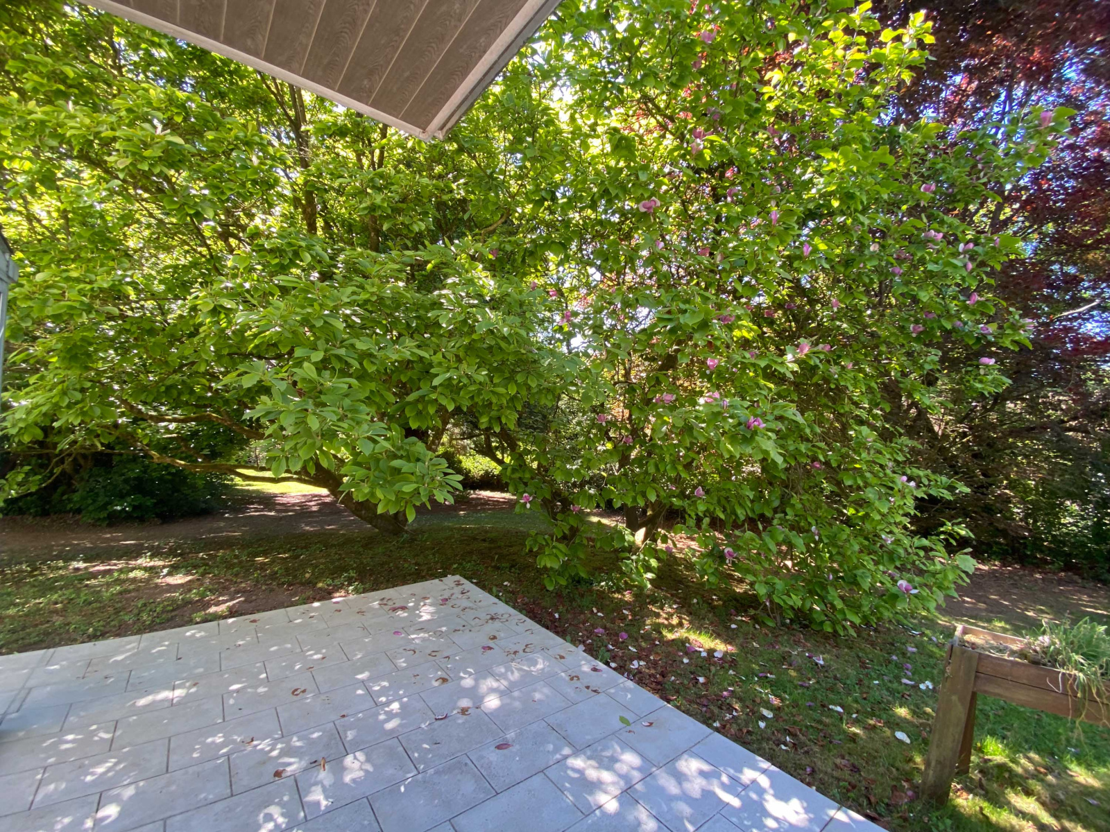 Image_, Maison, Mairieux, ref :AT460-9142