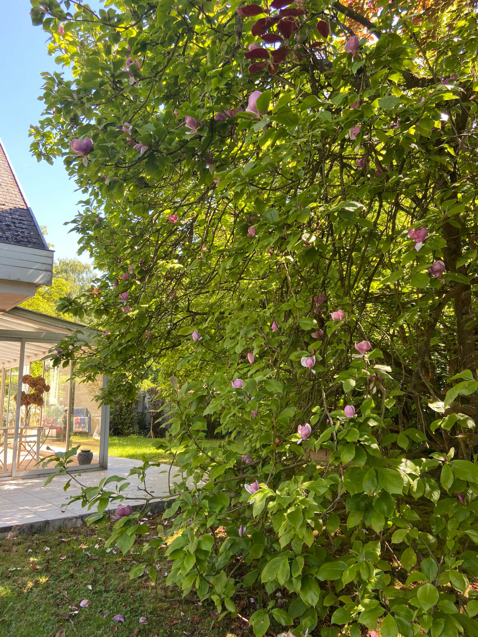 Image_, Maison, Mairieux, ref :AT460-9142