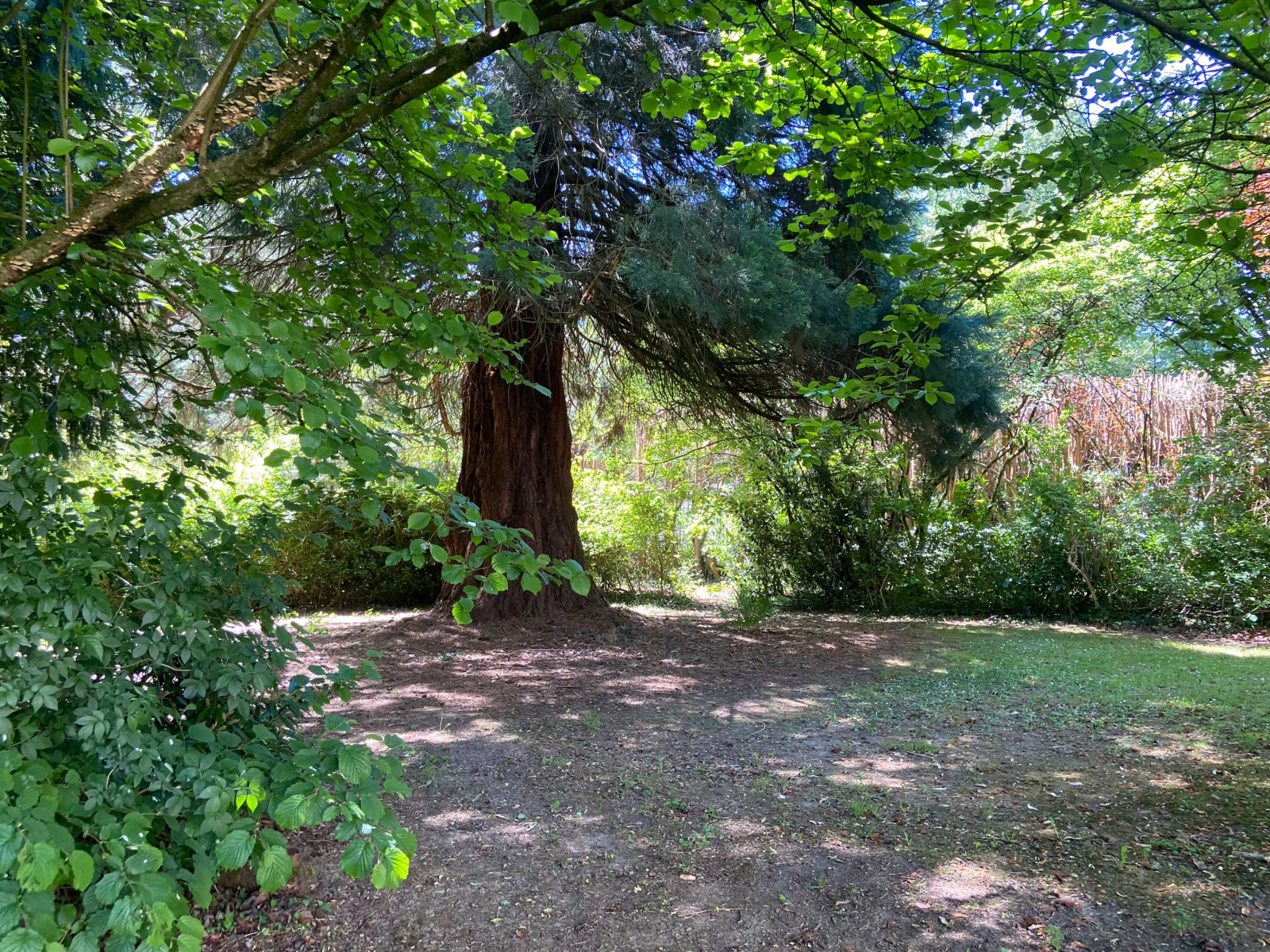 Image_, Maison, Mairieux, ref :AT460-9142