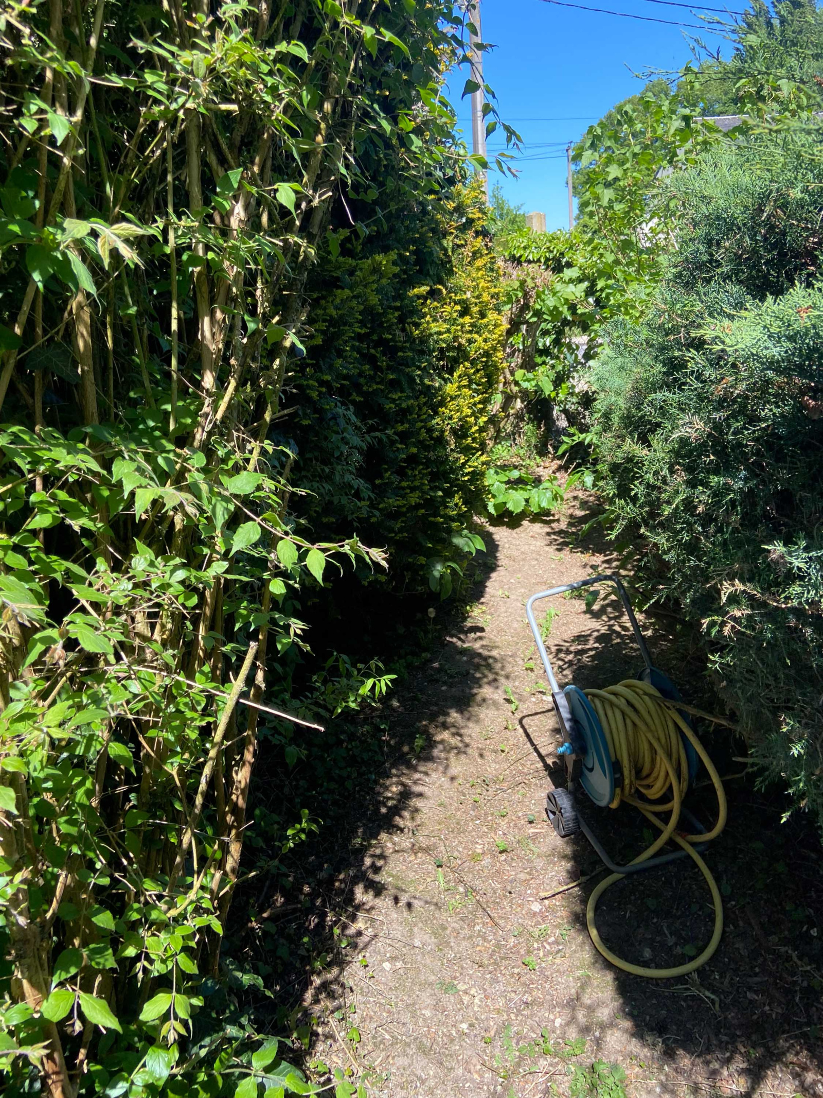 Image_, Maison, Mairieux, ref :AT460-9142