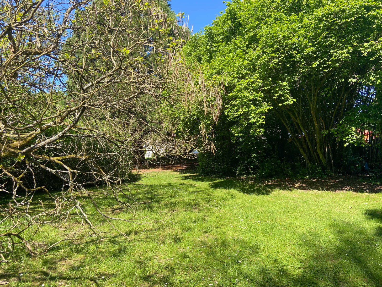 Image_, Maison, Mairieux, ref :AT460-9142