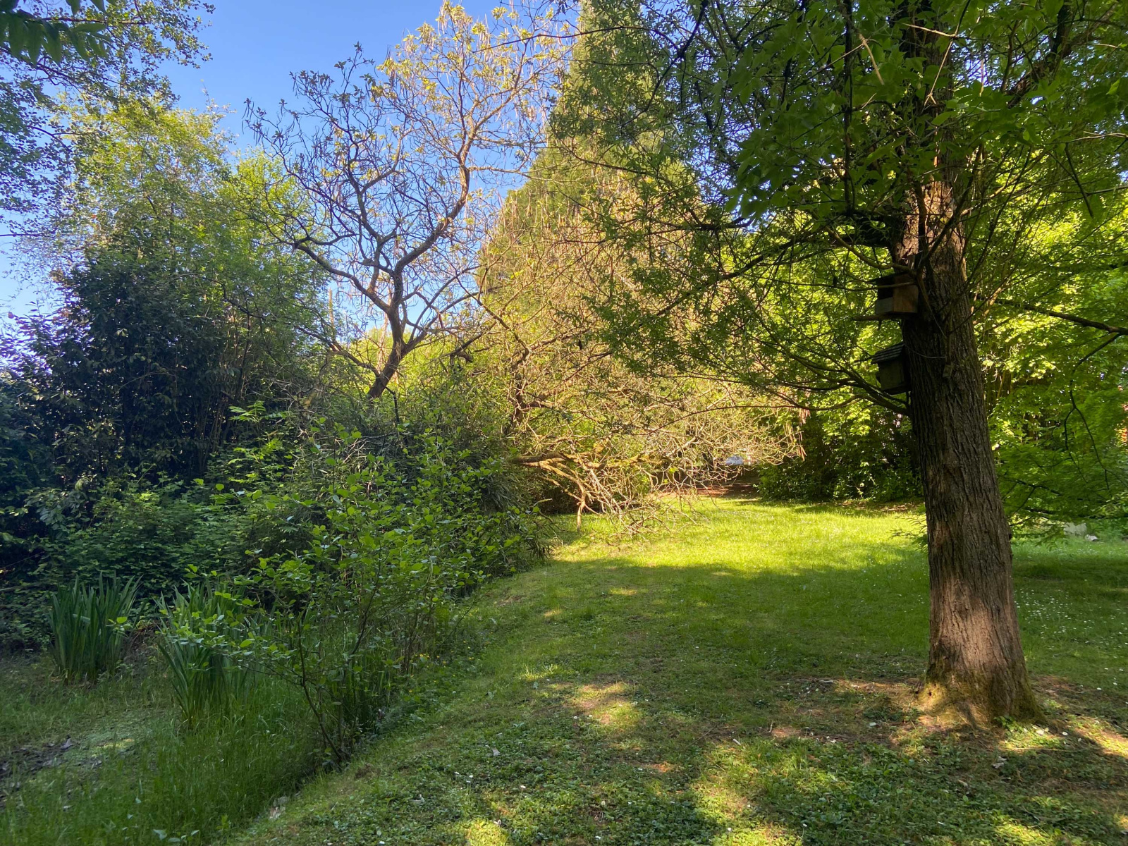 Image_, Maison, Mairieux, ref :AT460-9142