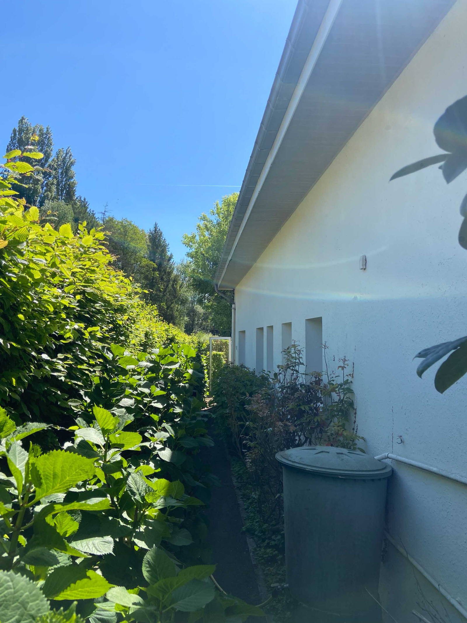 Image_, Maison, Mairieux, ref :AT460-9142