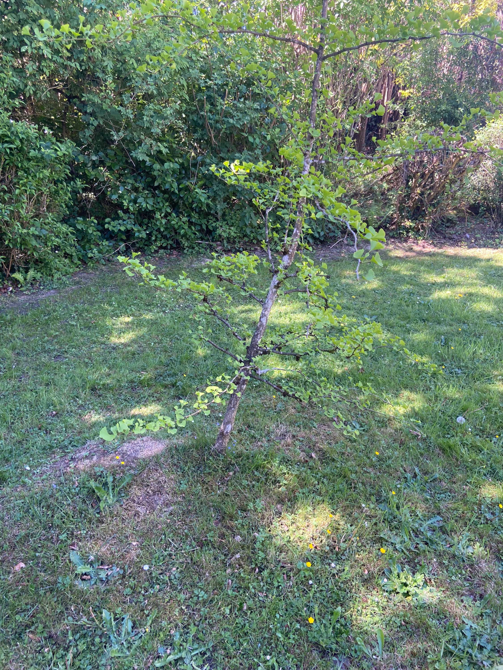 Image_, Maison, Mairieux, ref :AT460-9142