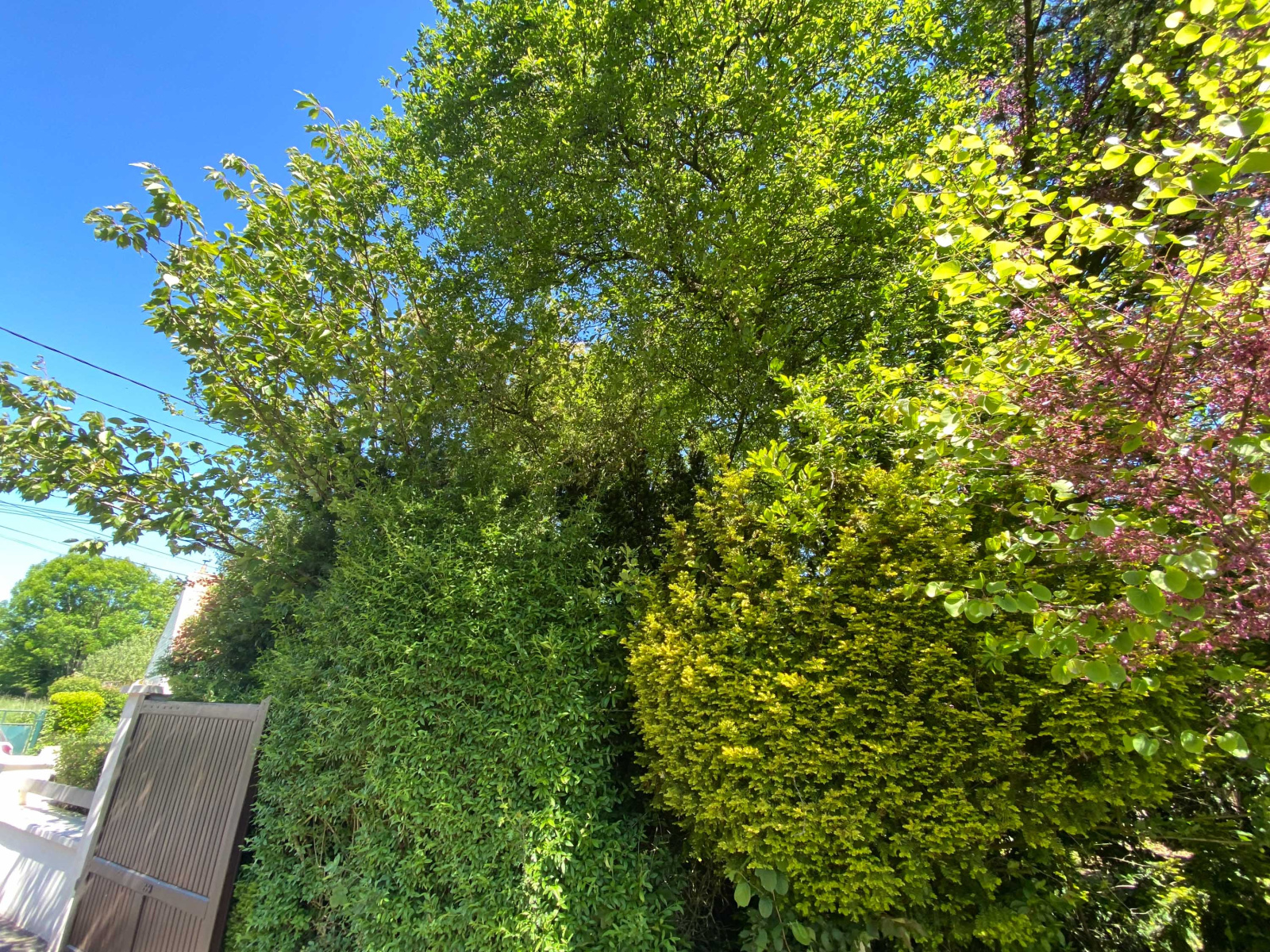 Image_, Maison, Mairieux, ref :AT460-9142