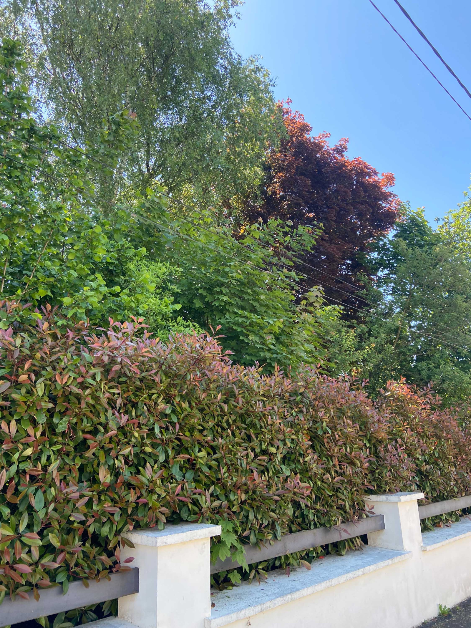 Image_, Maison, Mairieux, ref :AT460-9142