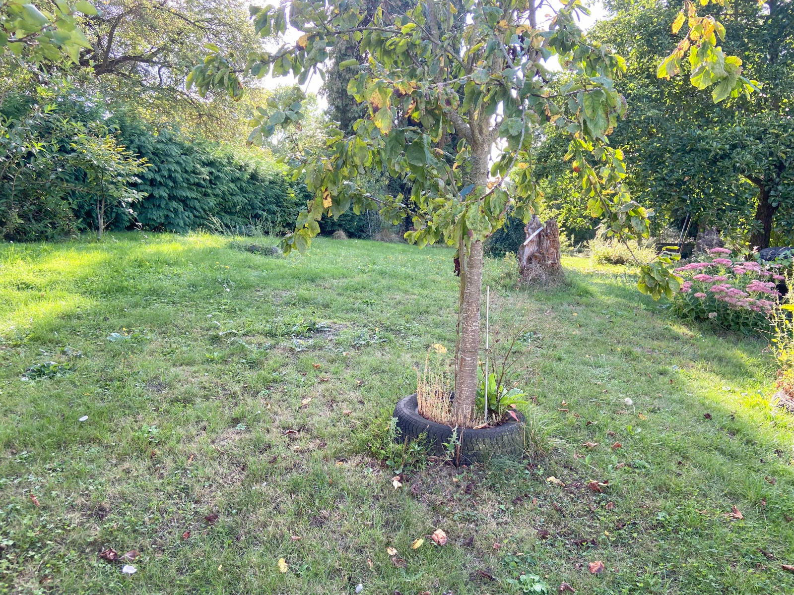 Image_, Maison, Vieux-Reng, ref :AT460-9260