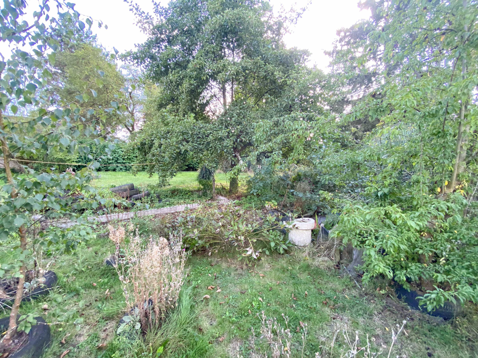 Image_, Maison, Vieux-Reng, ref :AT460-9260