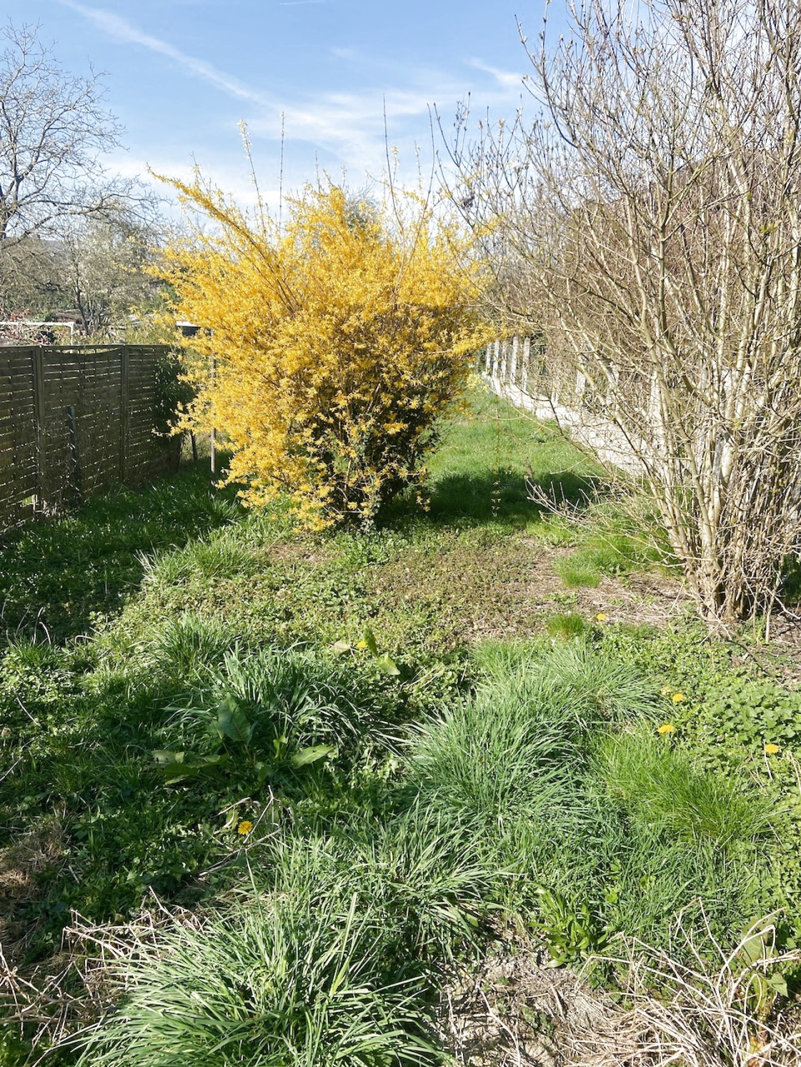 Image_, Maison, Jeumont, ref :AT460-9413