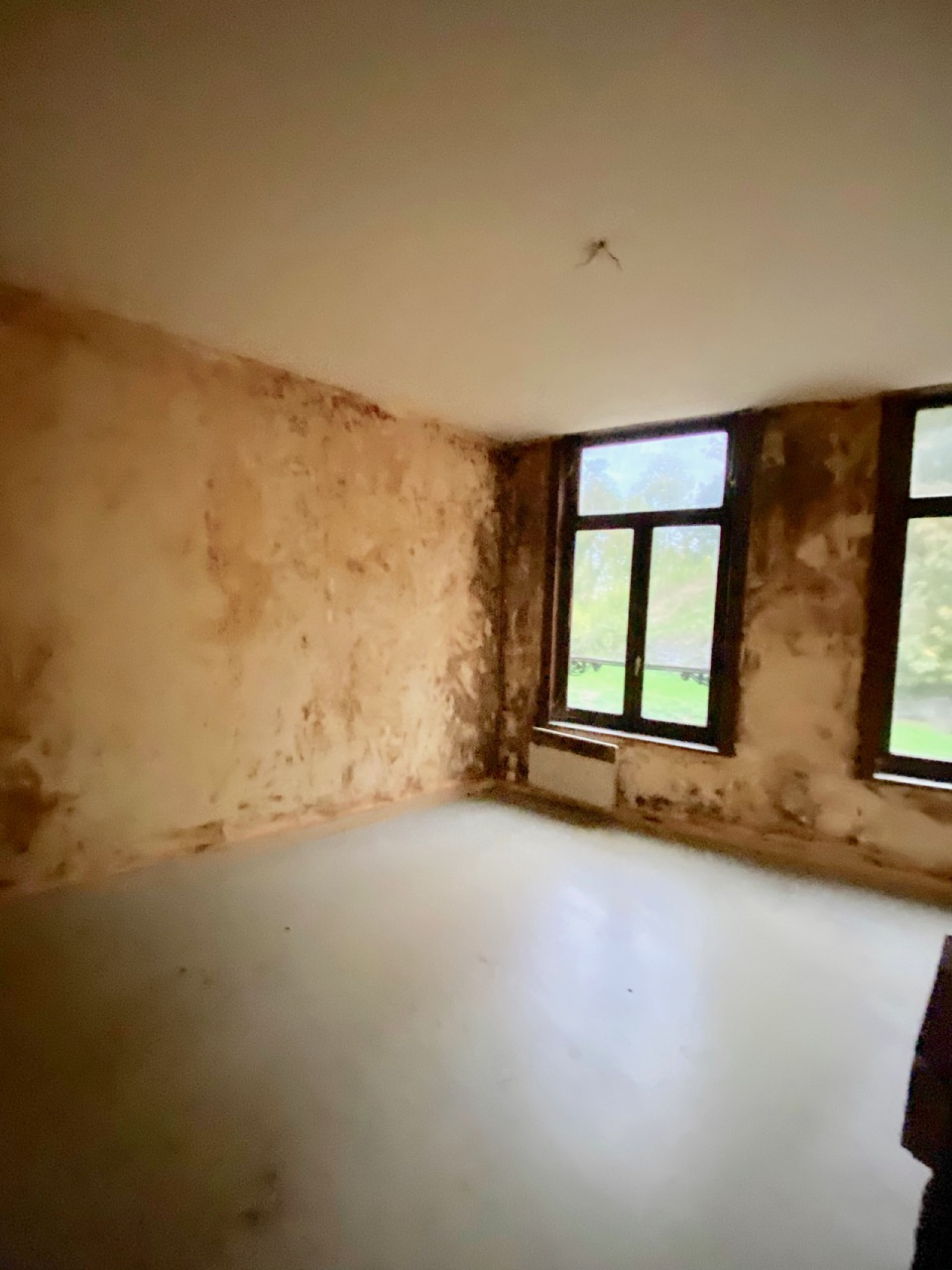 Image_, Appartement, Maubeuge, ref :7479