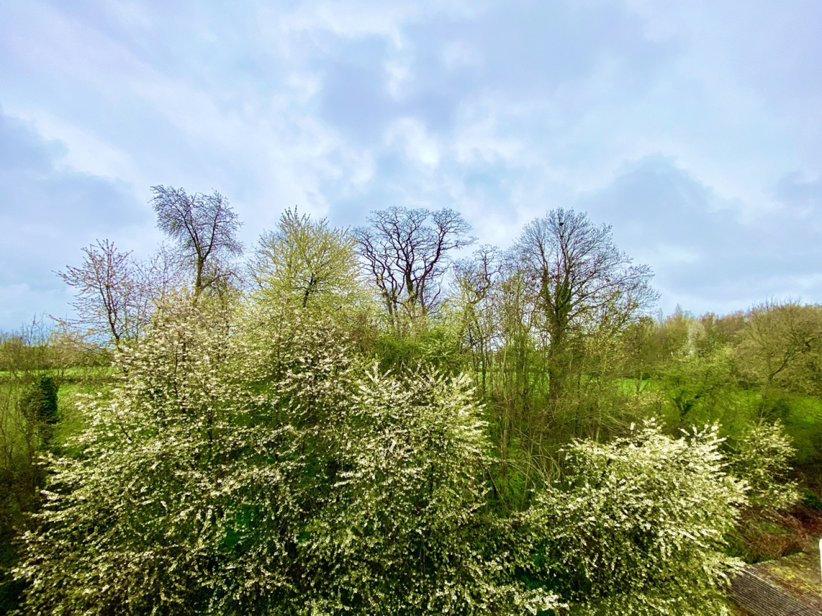 Image_, Appartement, Rousies, ref :AT600-9404