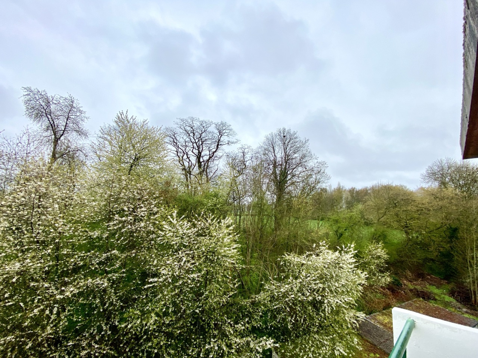 Image_, Appartement, Rousies, ref :AT600-9404