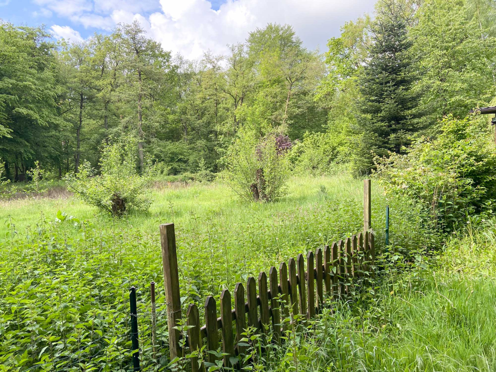 Image_, Terrain, Bousignies-sur-Roc, ref :AT460-9469