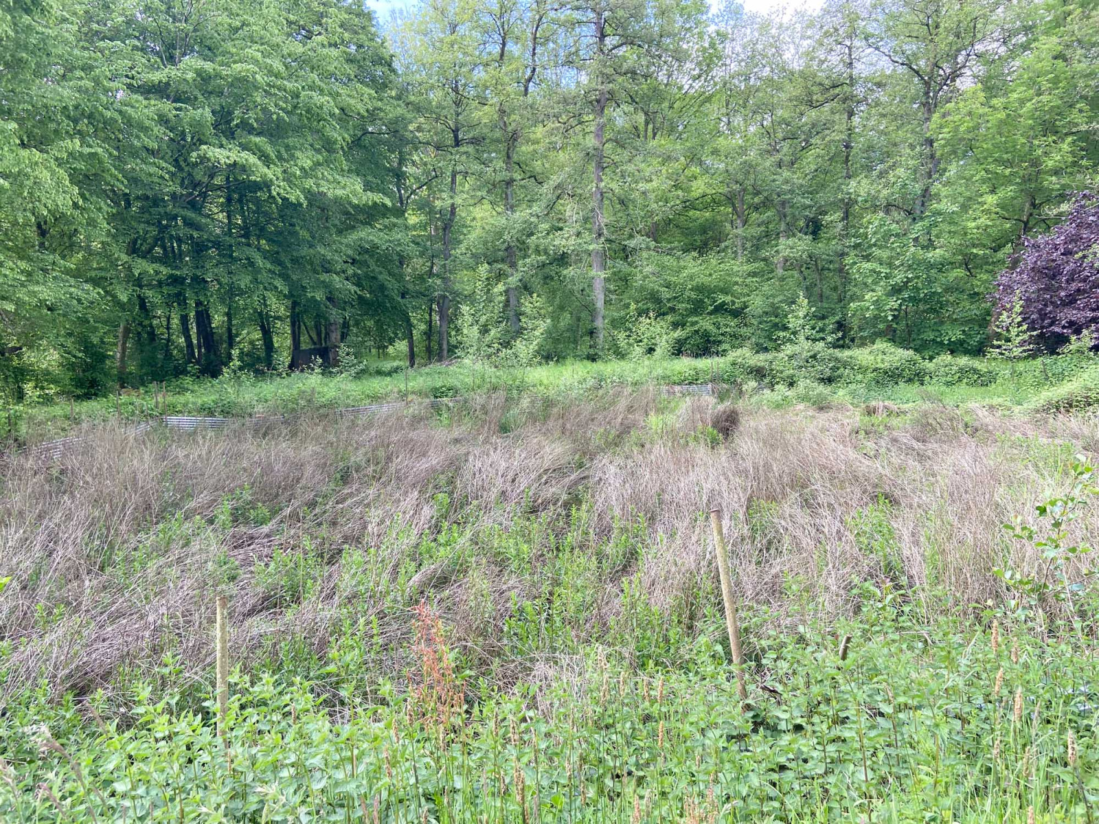 Image_, Terrain, Bousignies-sur-Roc, ref :AT460-9469