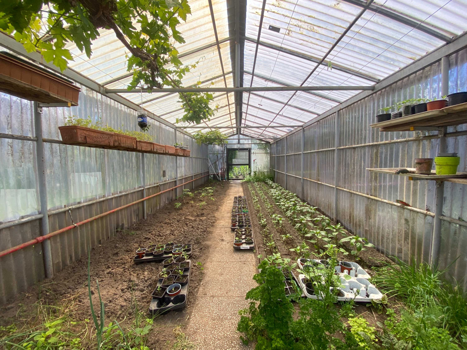Image_, Maison, Jeumont, ref :AT460-9148