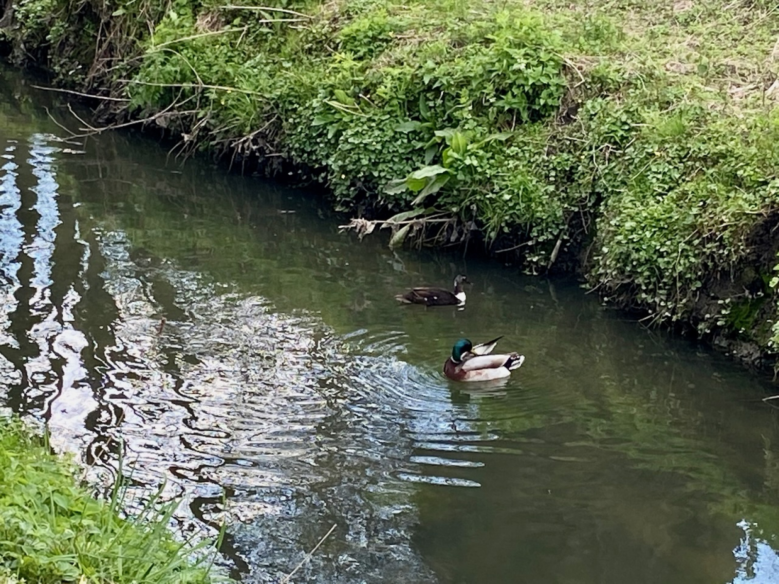 Image_, Terrain, Maubeuge, ref :AT600-8380