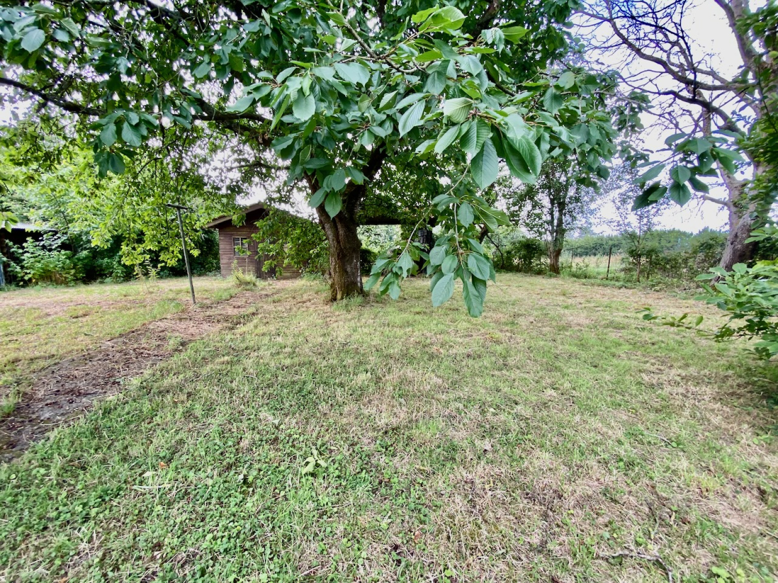 Image_, Maison, Chigny, ref :AT600-9506