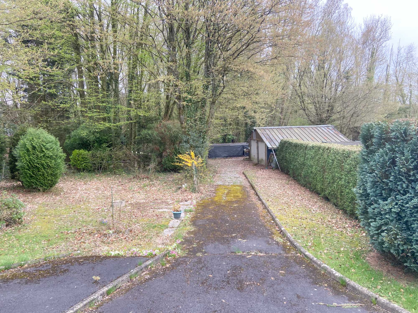 Image_, Maison, Rousies, ref :AT460-9420