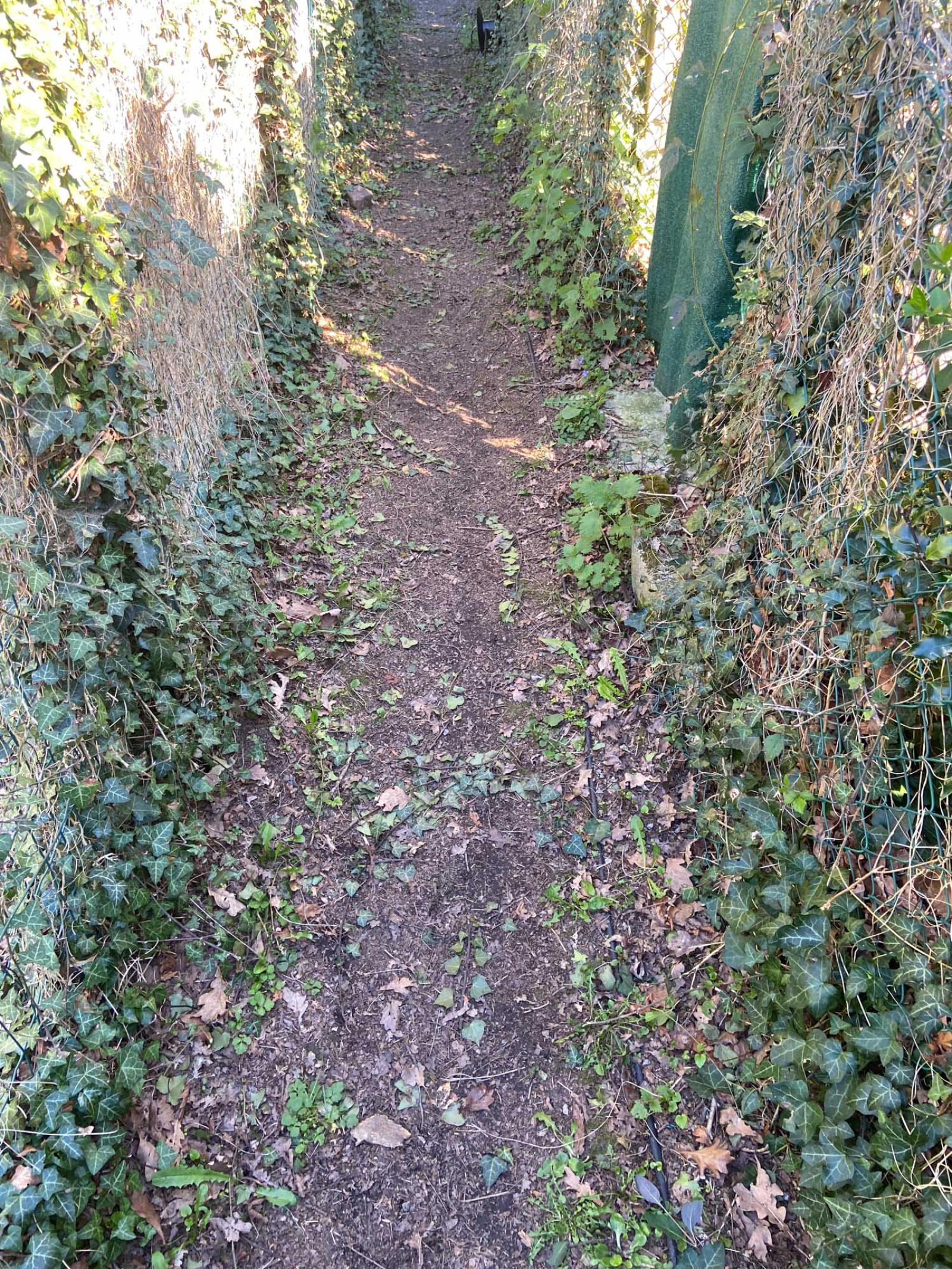 Image_, Maison, Jeumont, ref :AT460-9417