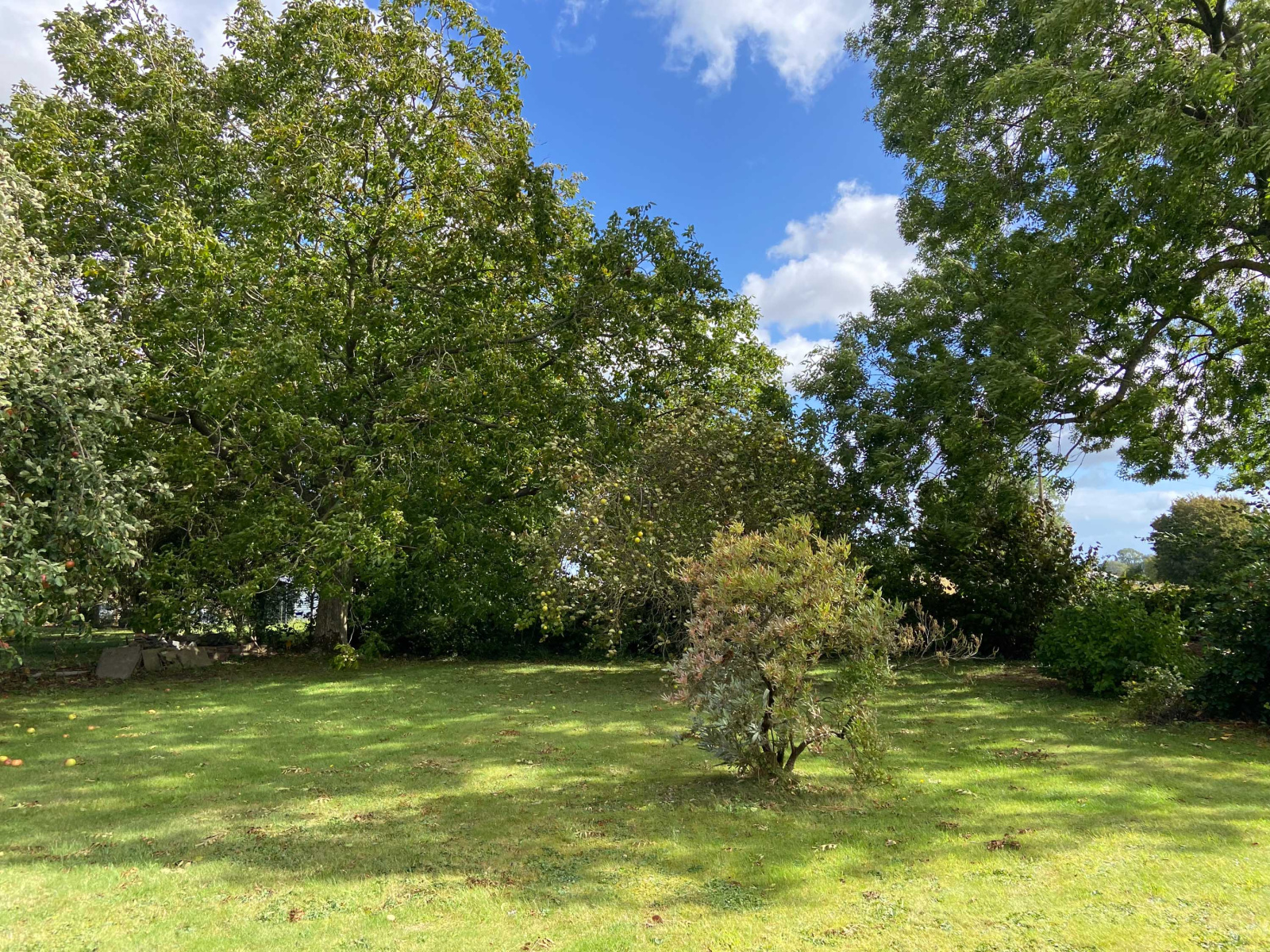 Image_, Maison, Mairieux, ref :AT460-9257