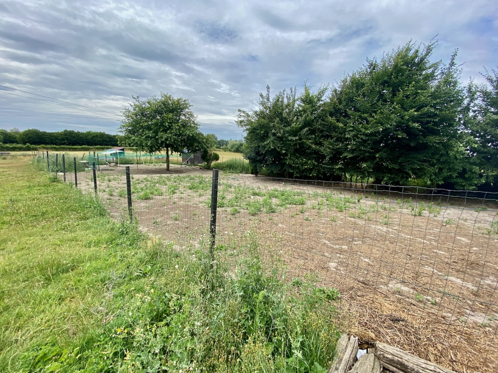 Image_, Maison, Avesnes-sur-Helpe, ref :AT600-9196