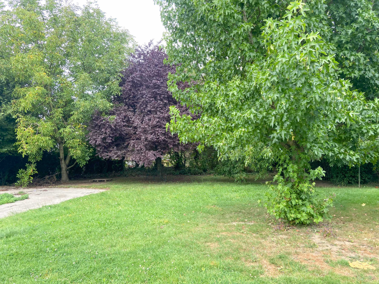 Image_, Maison, Cousolre, ref :AT460-9242