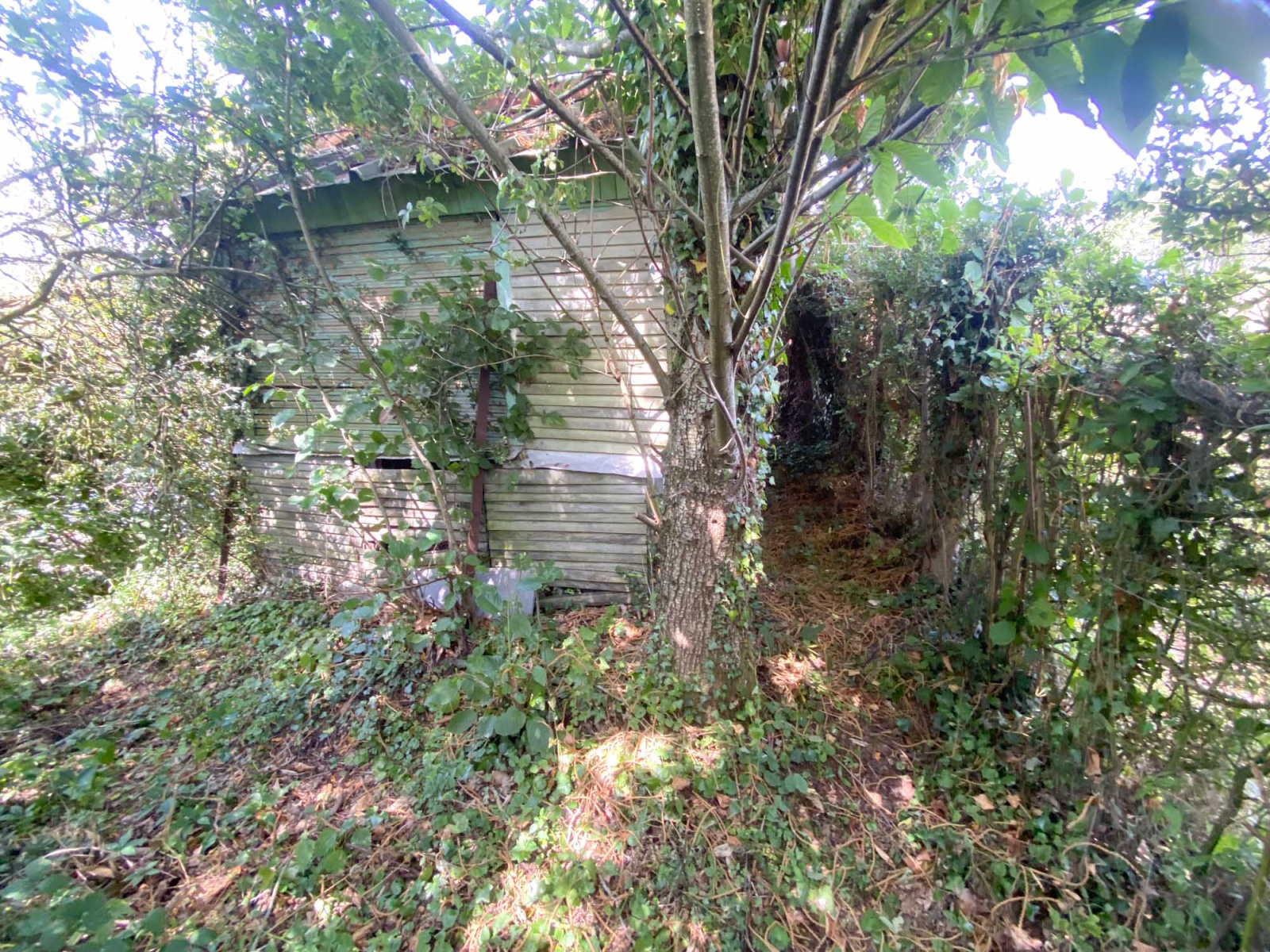Image_, Maison, Cousolre, ref :AT460-9514