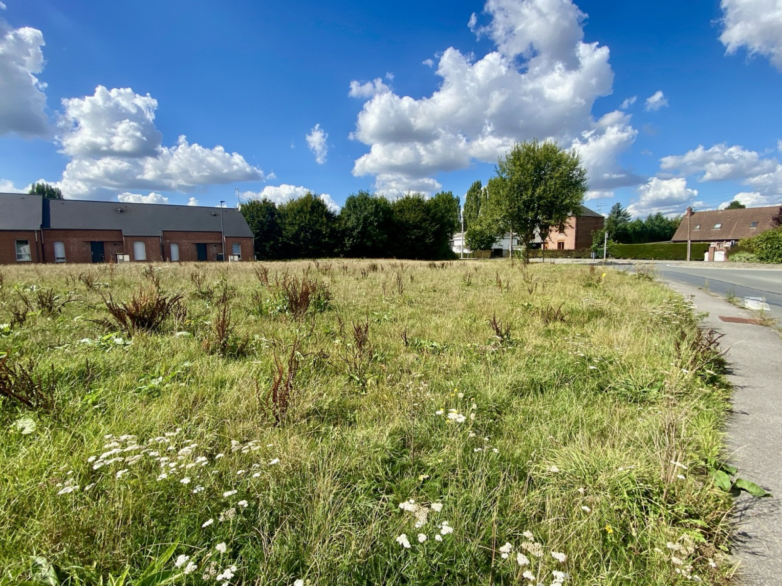 Image_, Terrain, La Longueville, ref :AT600-9253