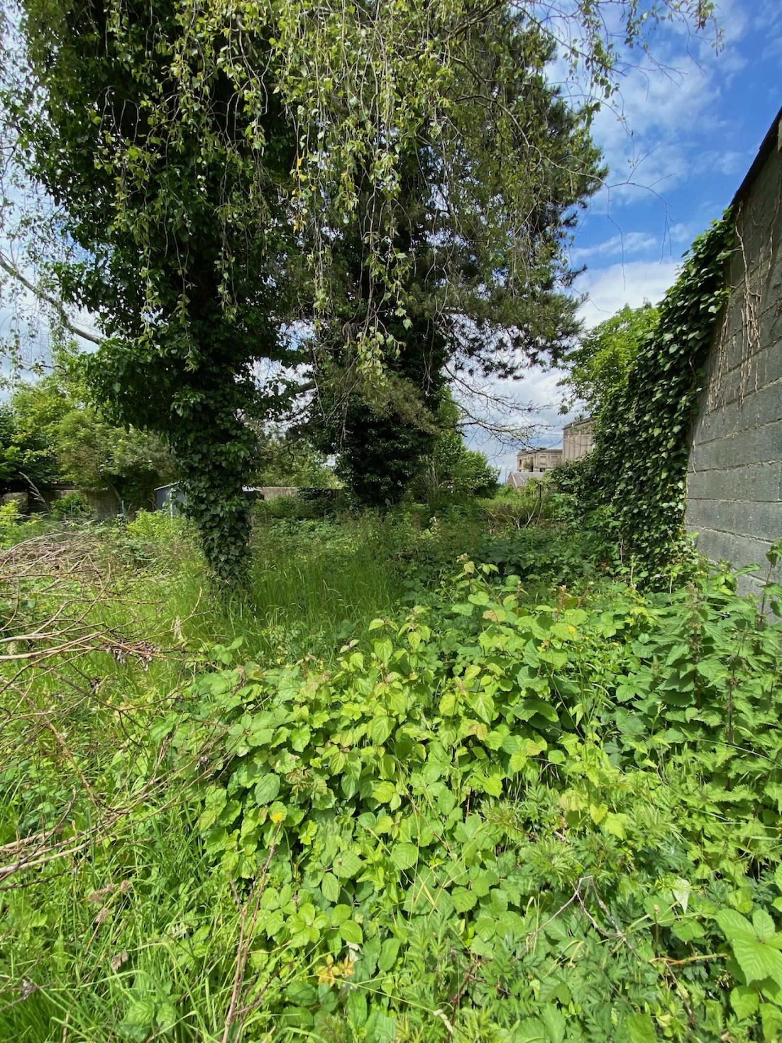 Image_, Terrain à batir, Maubeuge, ref :AT600-8806