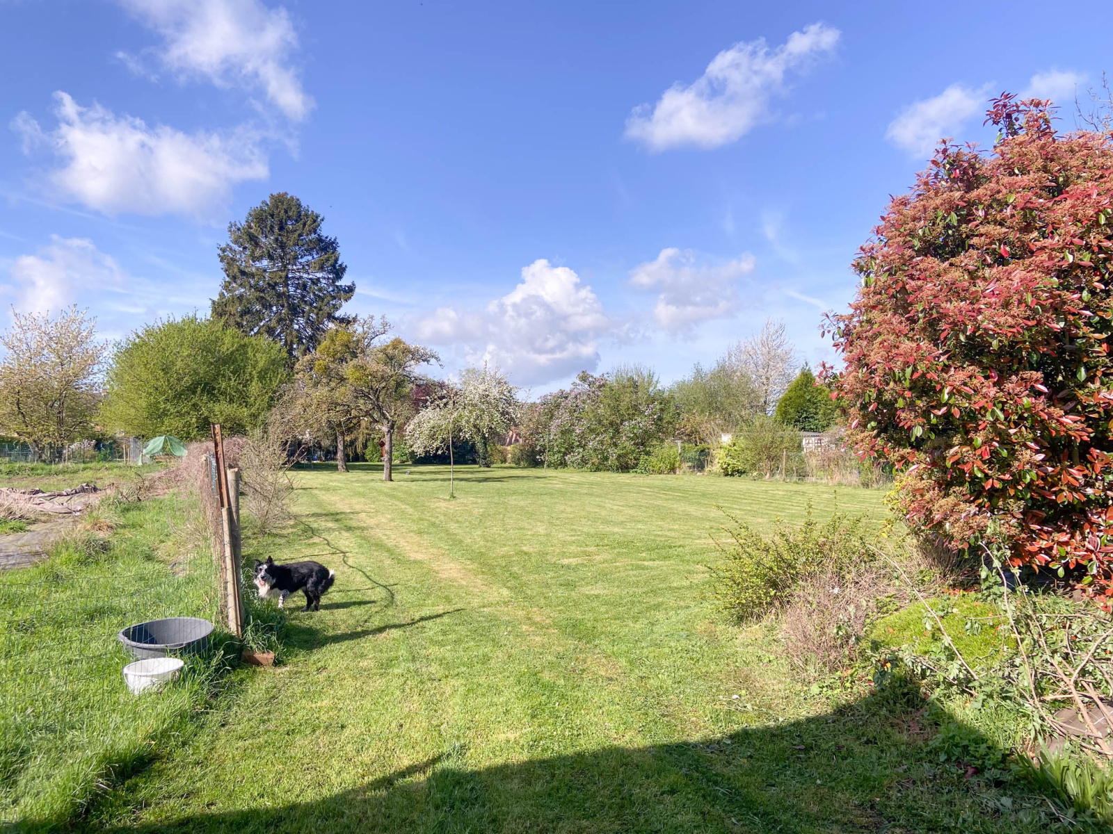 Image_, Maison, Marpent, ref :AT460-9179