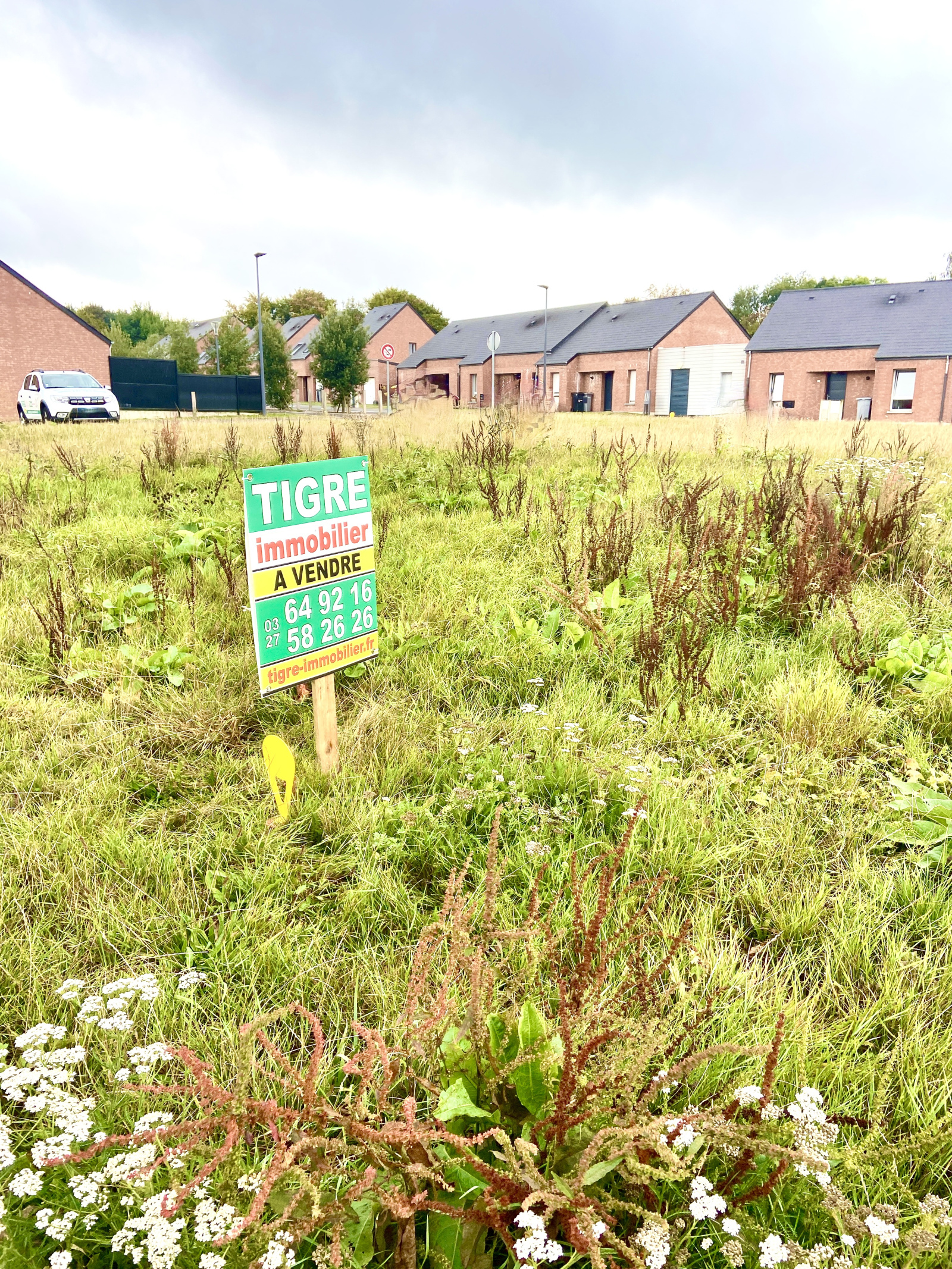 Image_, Terrain, La Longueville, ref :AT600-9252