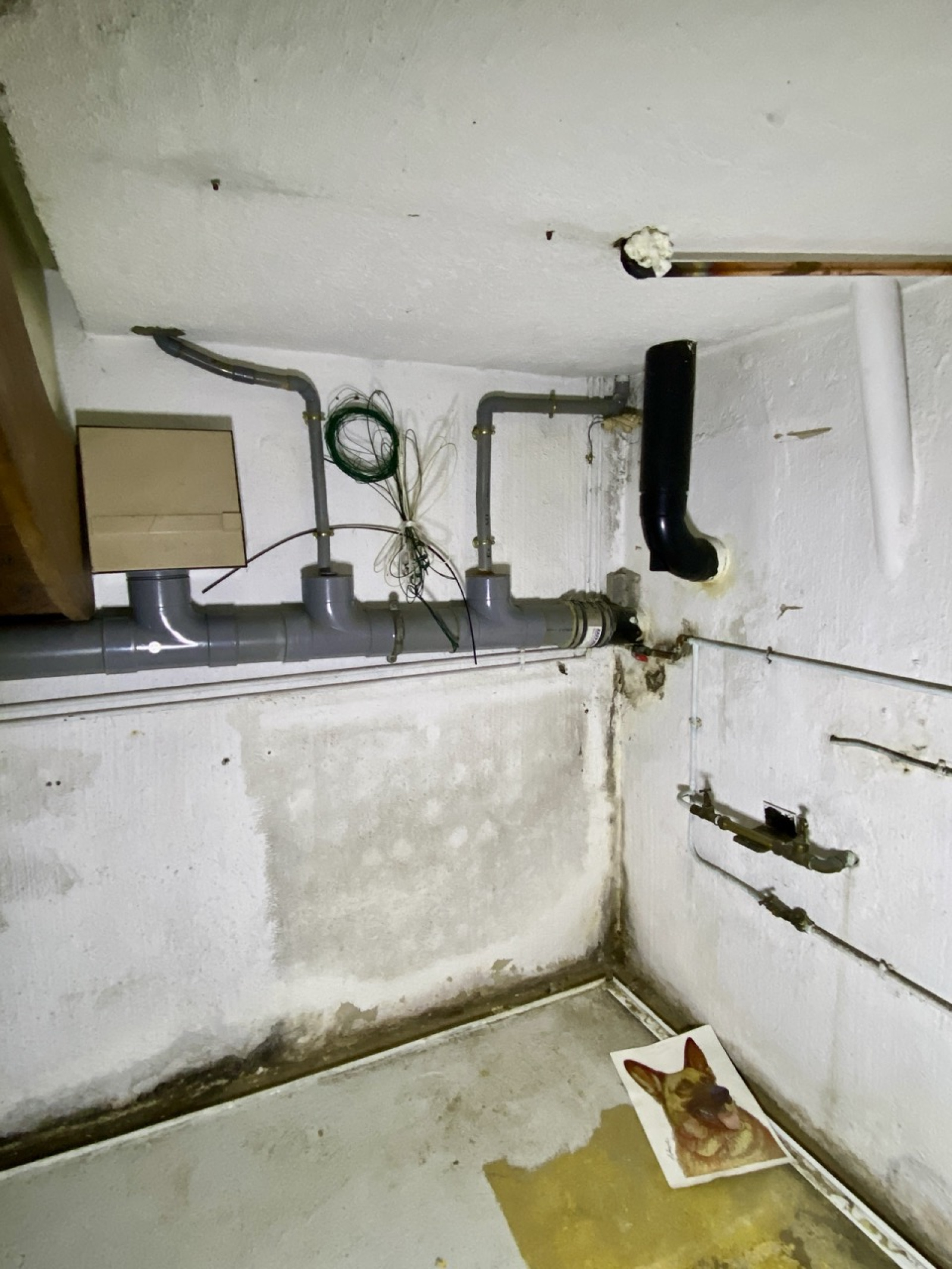 Image_, Maison, Hautmont, ref :AT600-9388