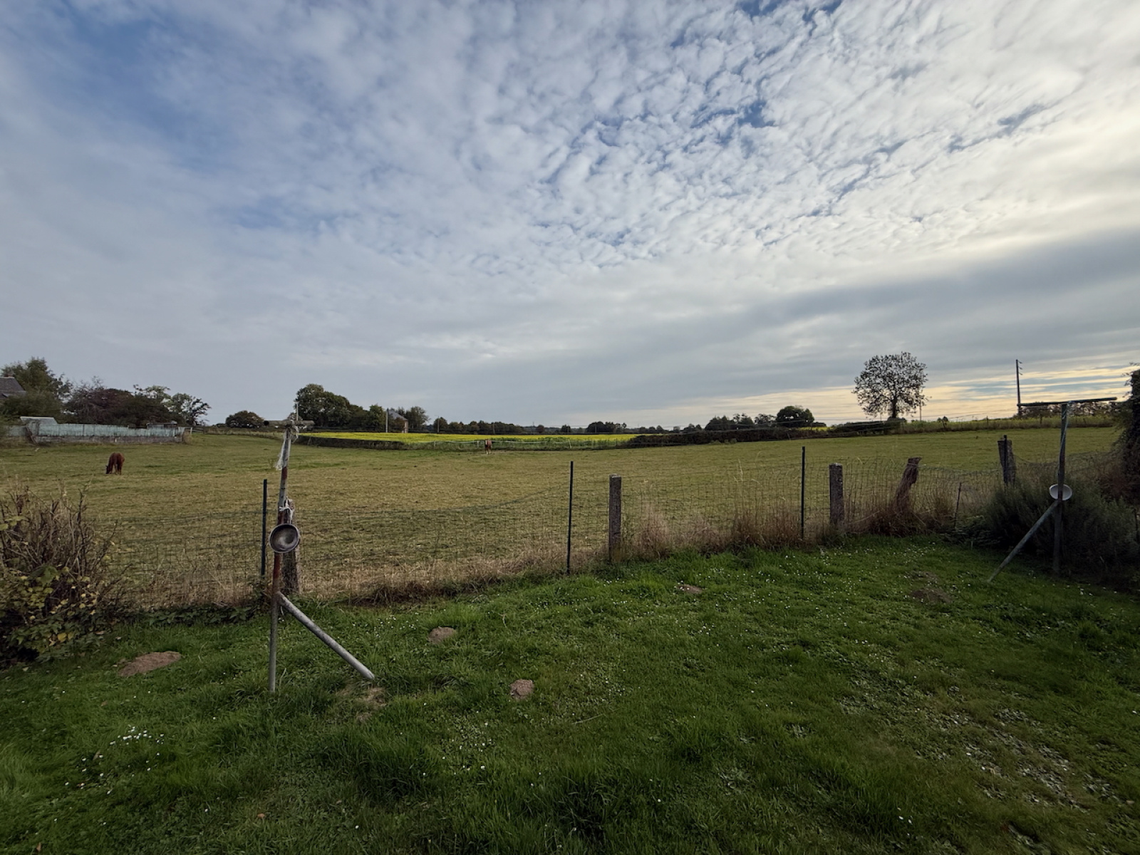 Image_, Maison, Felleries, ref :AT600-9279