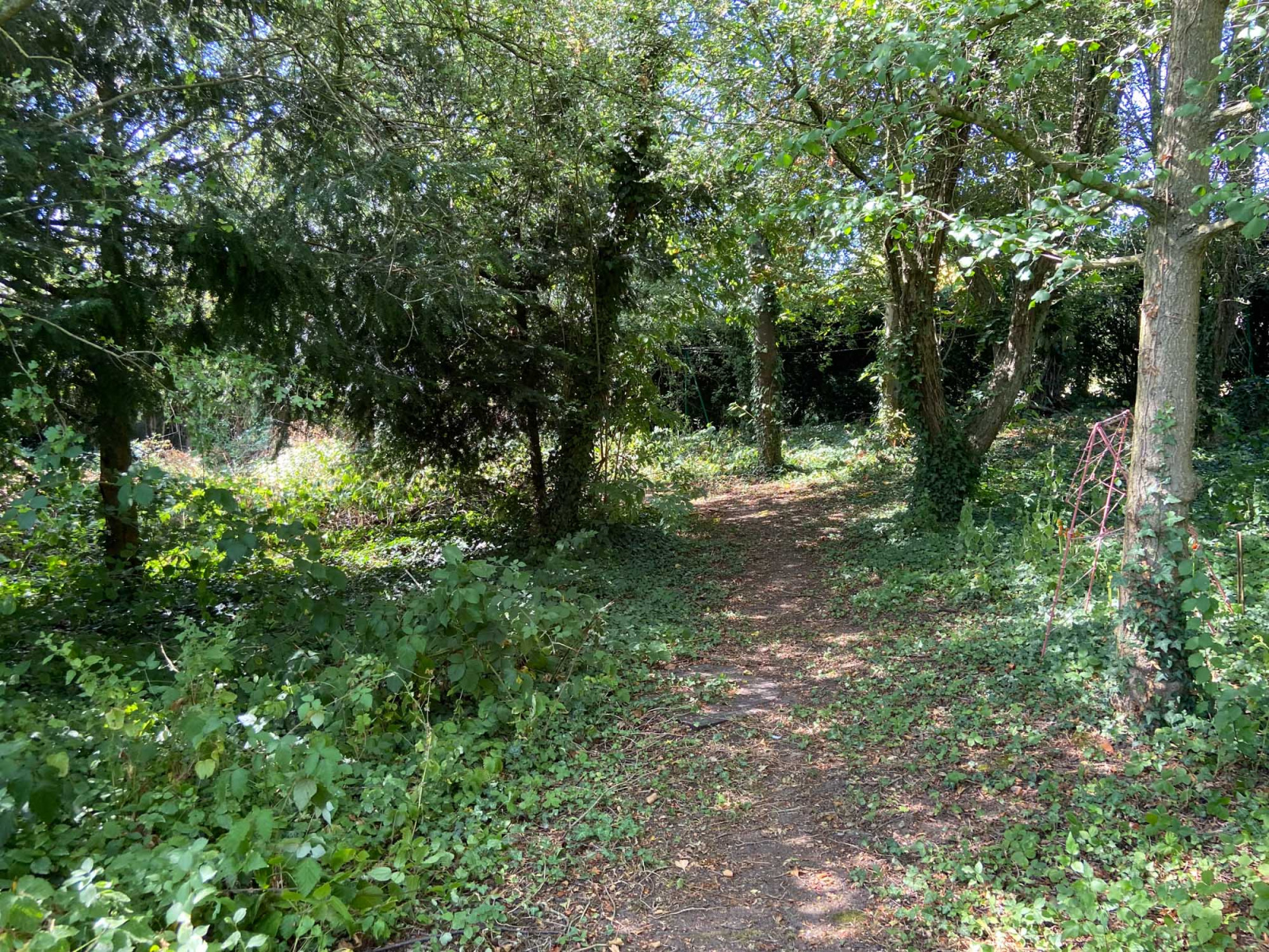 Image_, Maison, Jeumont, ref :AT460-9528