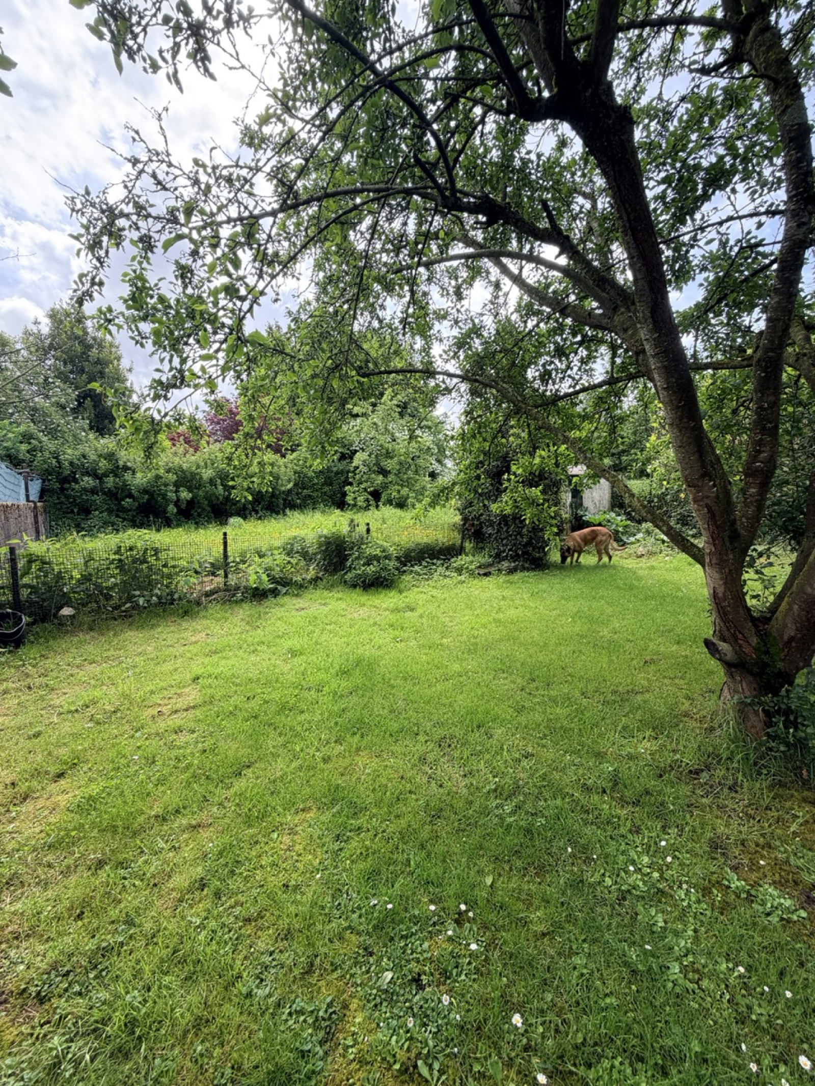 Image_, Maison, Louvroil, ref :AT460-9474