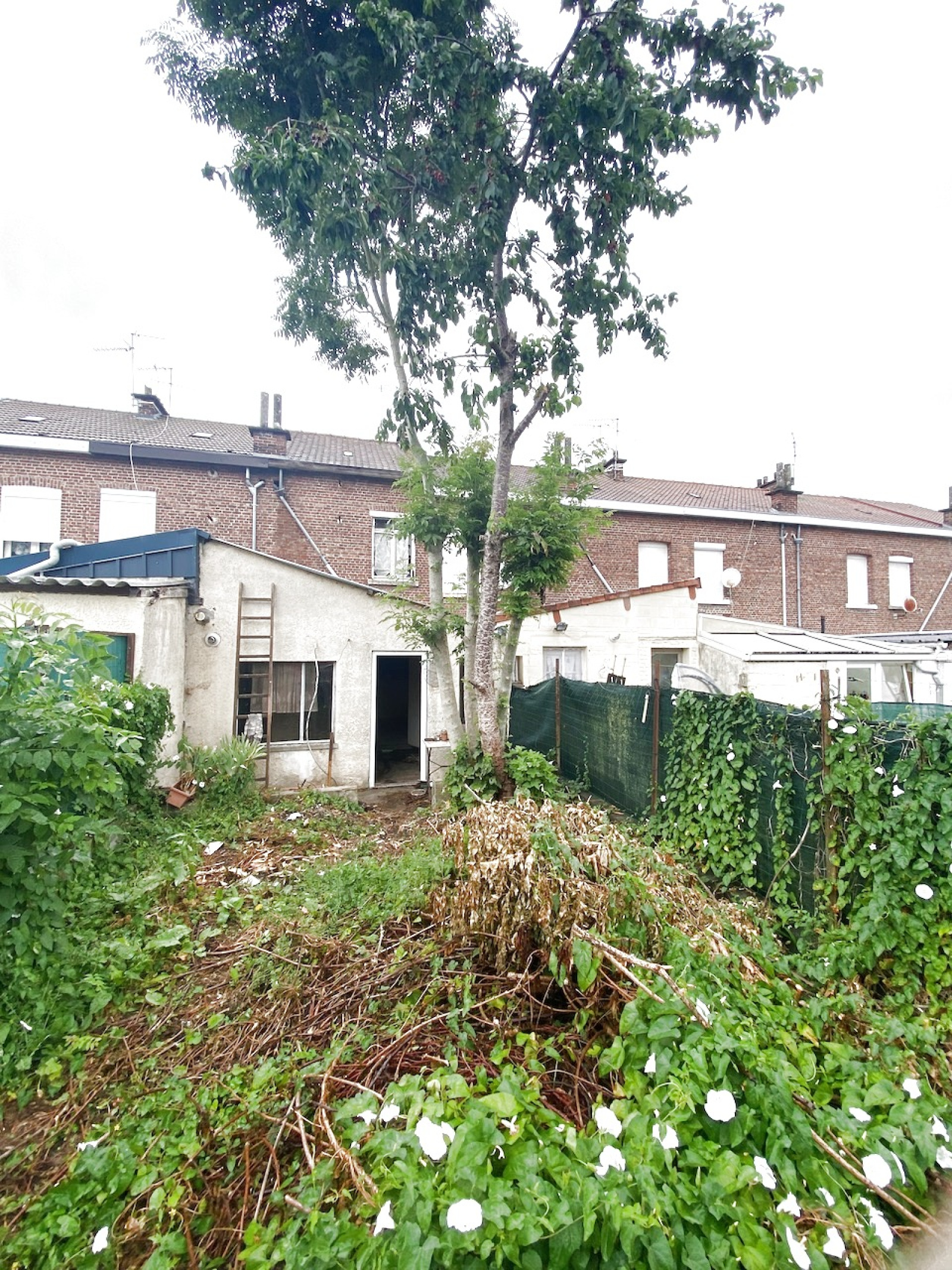 Image_, Maison, Recquignies, ref :AT460-9207