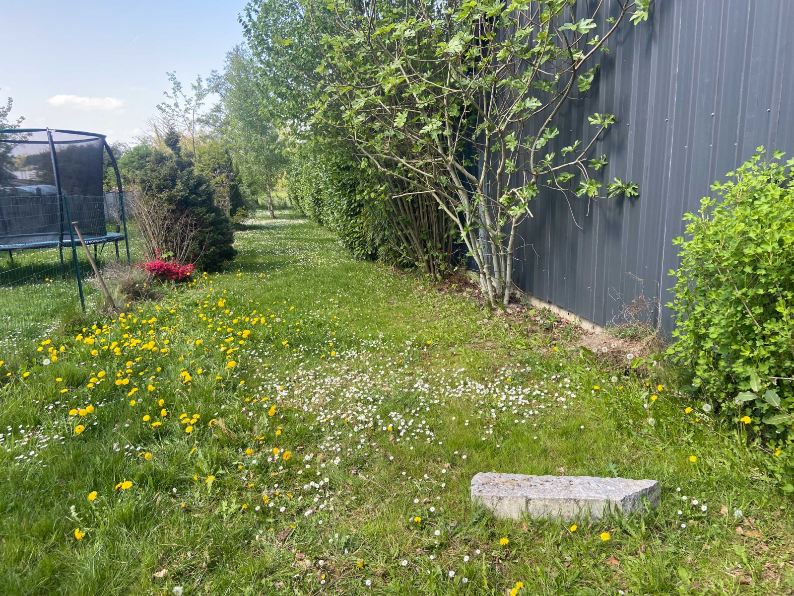 Image_, Maison, Jeumont, ref :AT460-8971