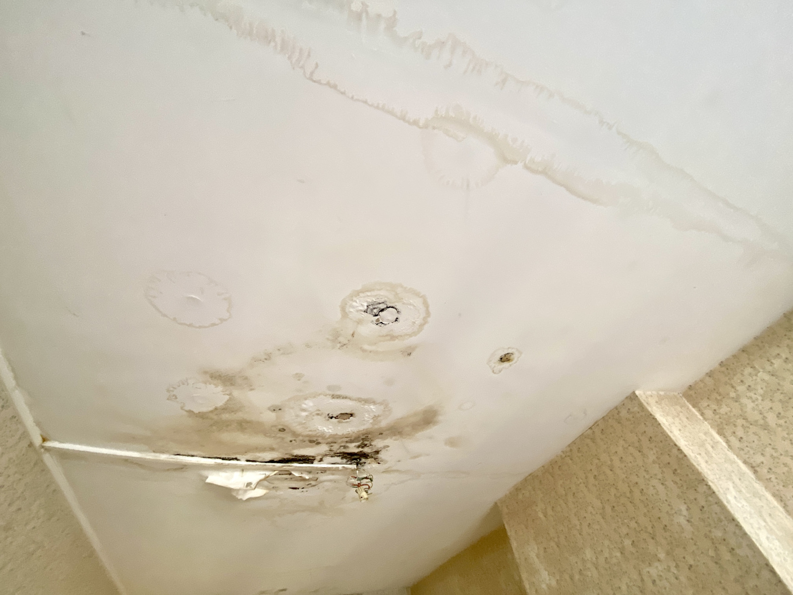 Image_, Maison, Berlaimont, ref :AT600-9472