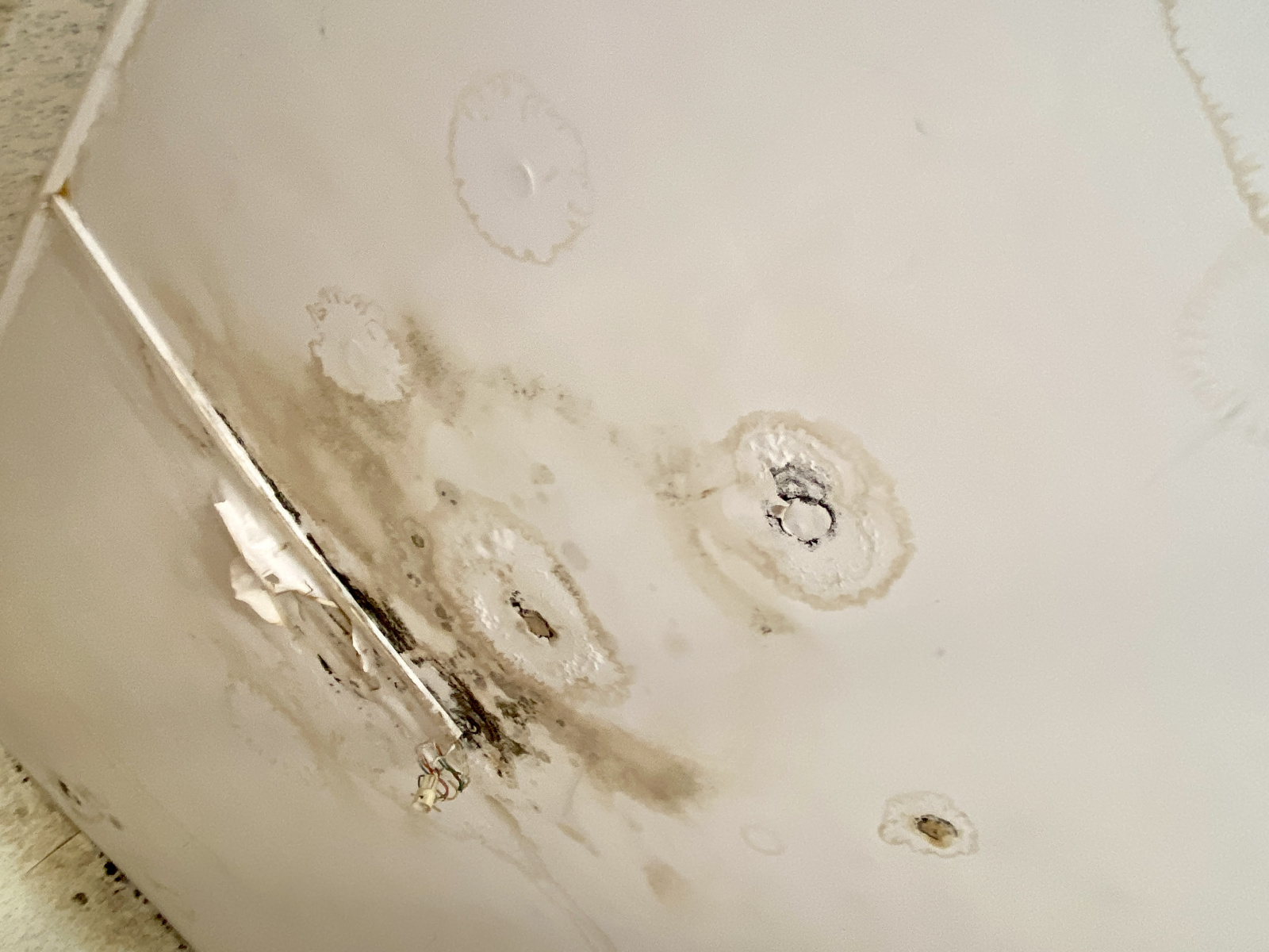 Image_, Maison, Berlaimont, ref :AT600-9472