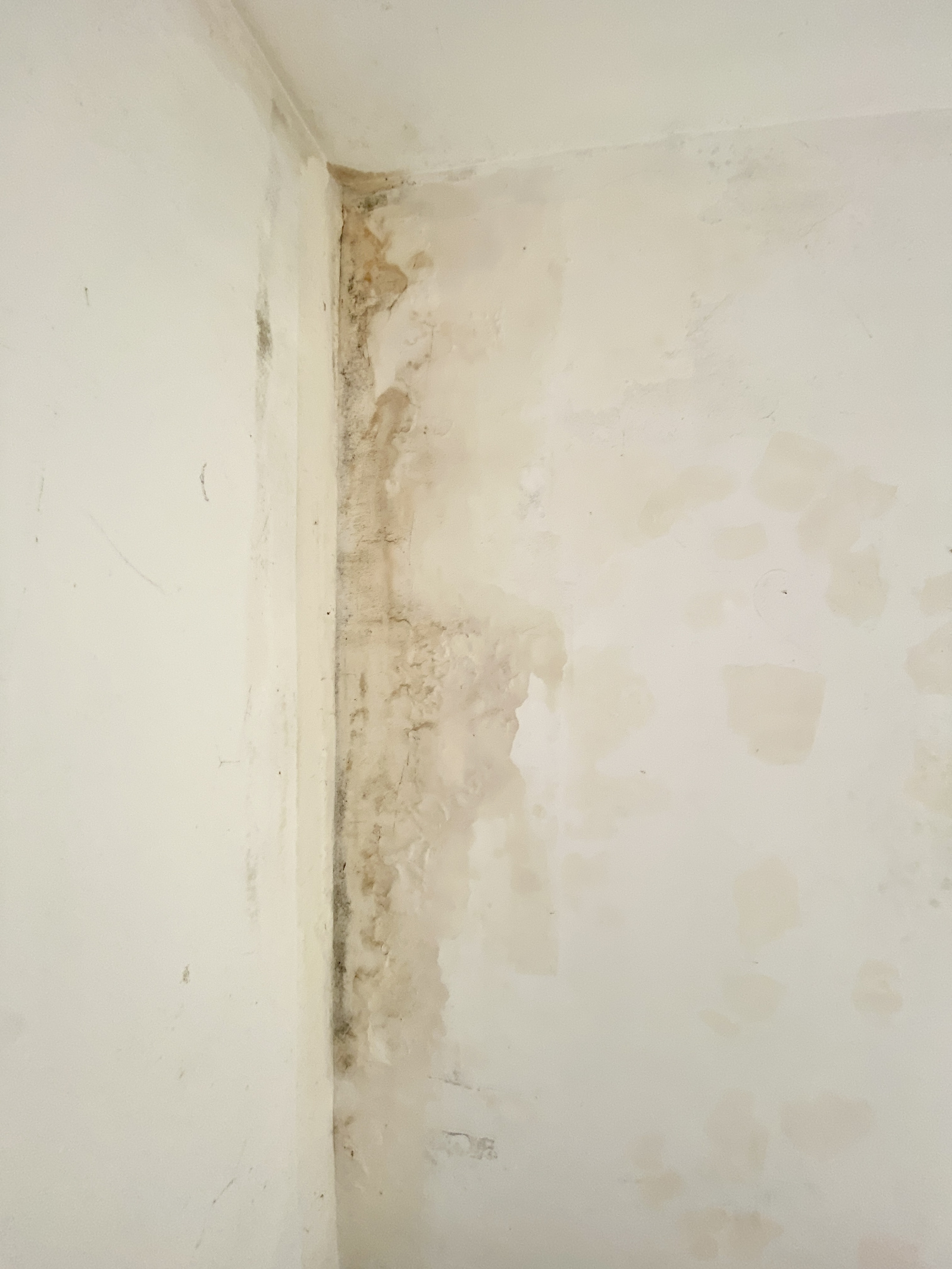 Image_, Maison, Berlaimont, ref :AT600-9472