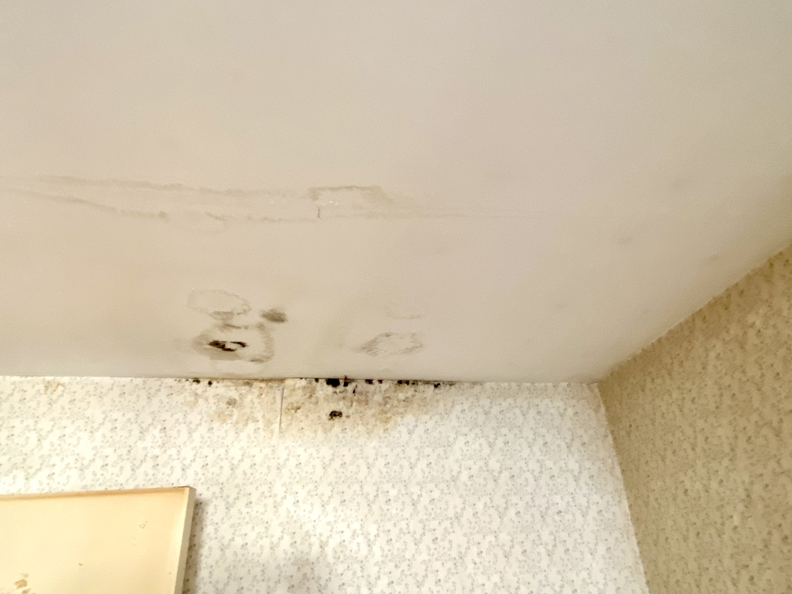 Image_, Maison, Berlaimont, ref :AT600-9472