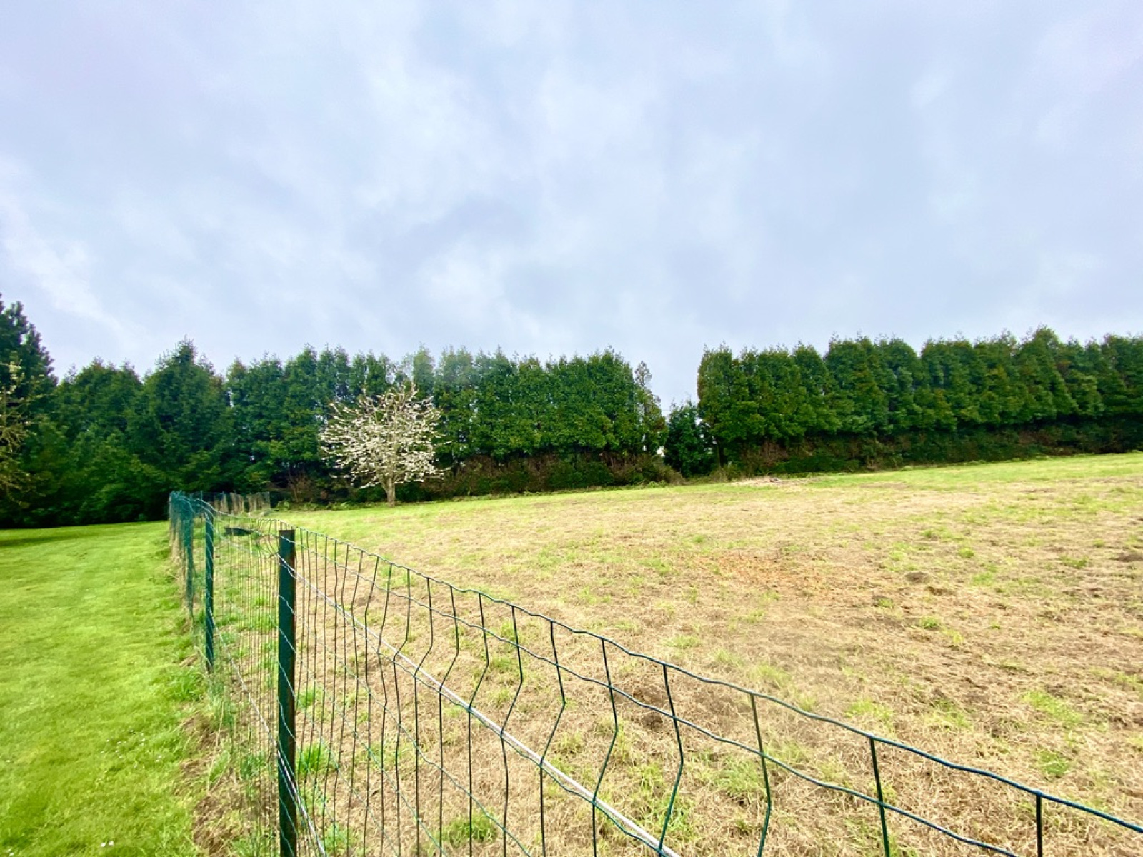 Image_, Terrain à batir, Maubeuge, ref :AT600-9443