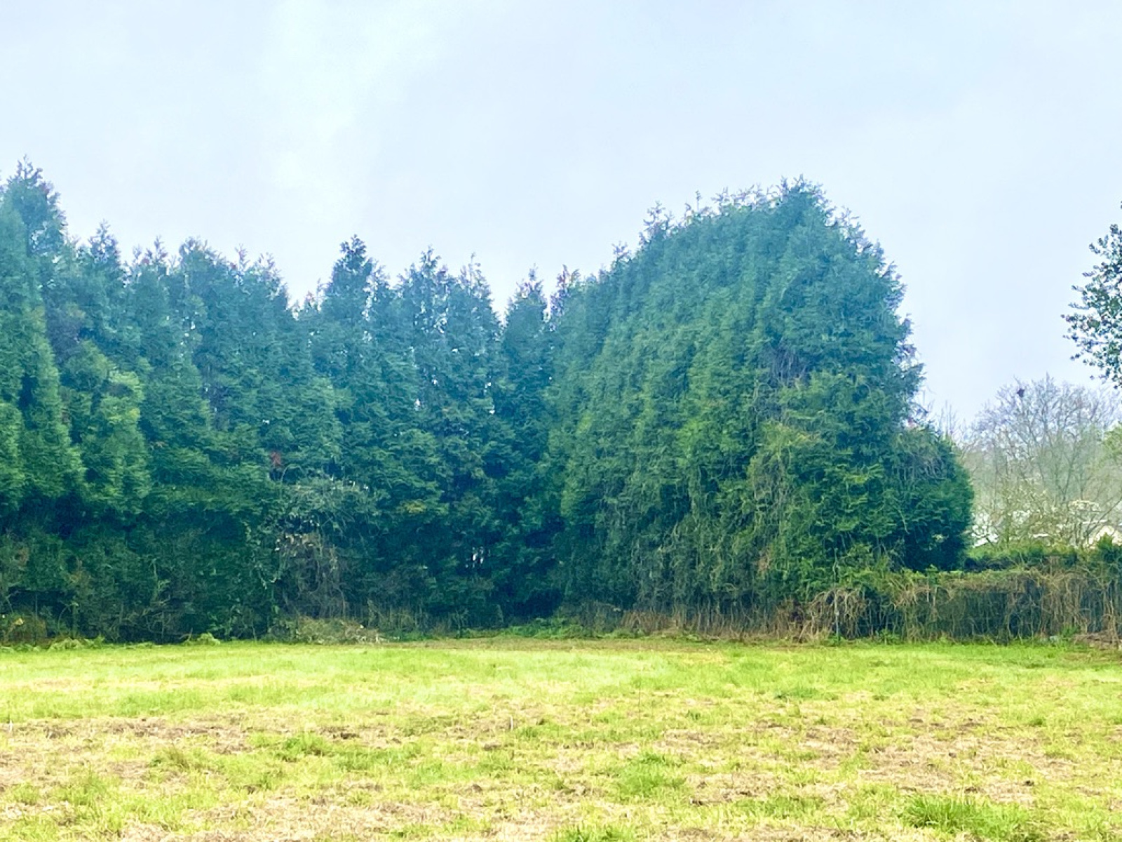 Image_, Terrain à batir, Maubeuge, ref :AT600-9443