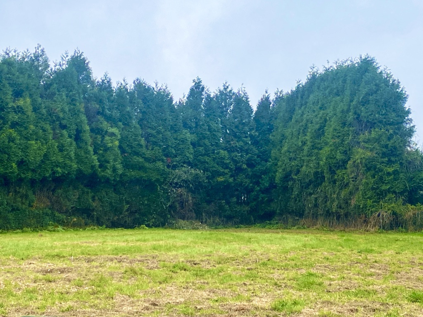 Image_, Terrain à batir, Maubeuge, ref :AT600-9443